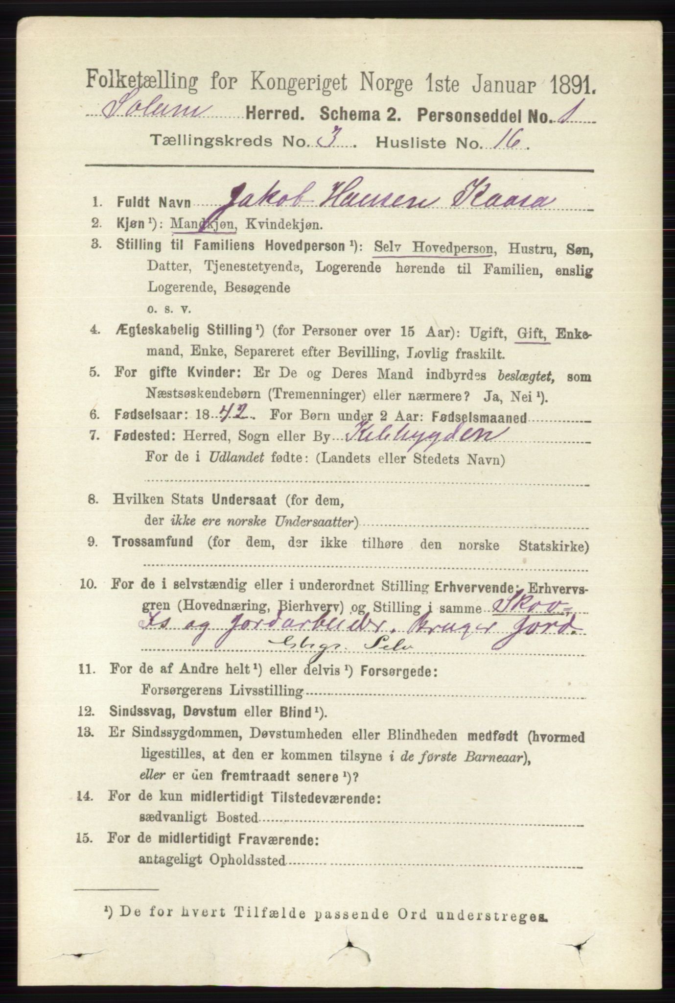 RA, 1891 census for 0818 Solum, 1891, p. 431