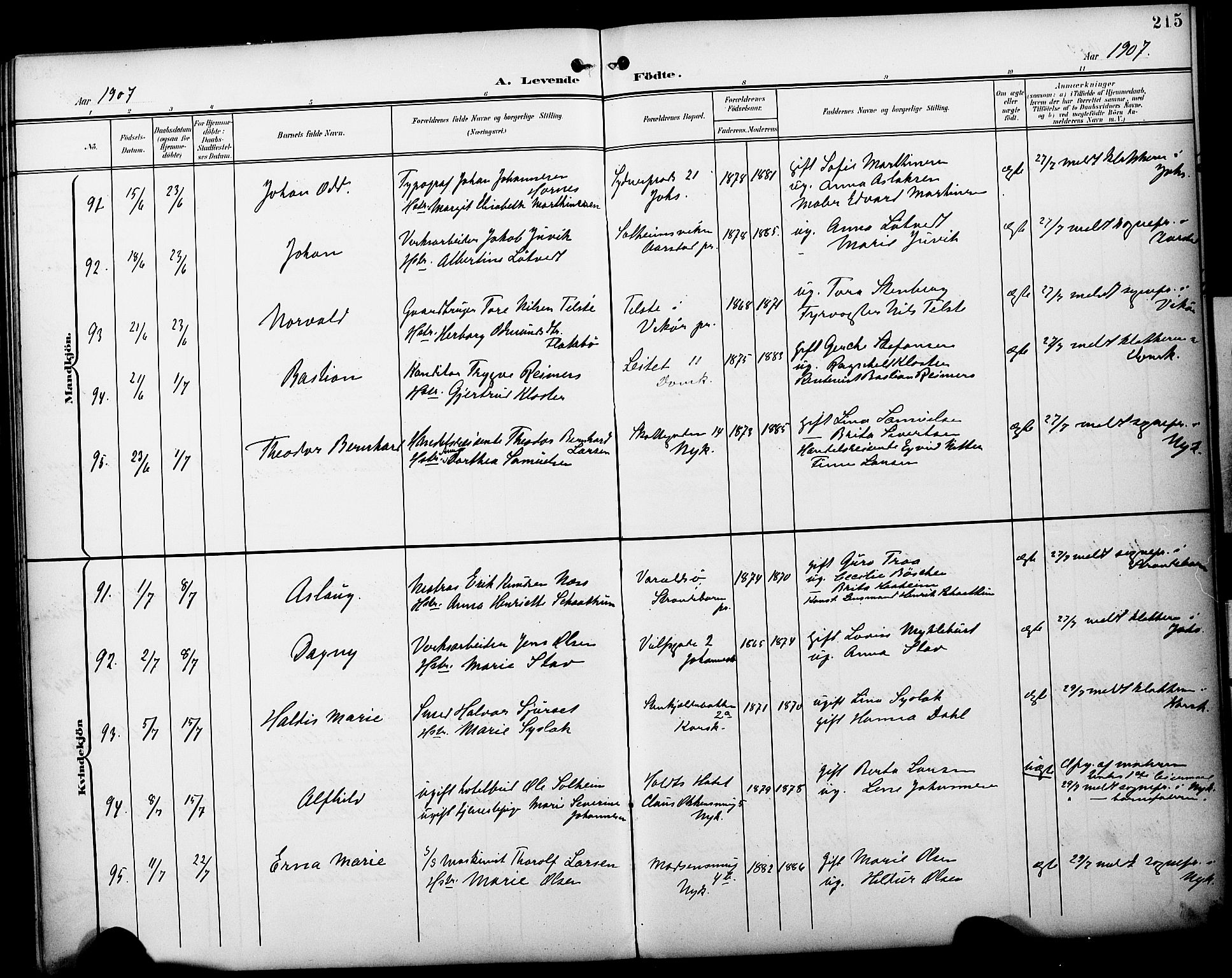 Fødselsstiftelsens sokneprestembete*, SAB/-: Parish register (official) no. A 3, 1901-1910, p. 215