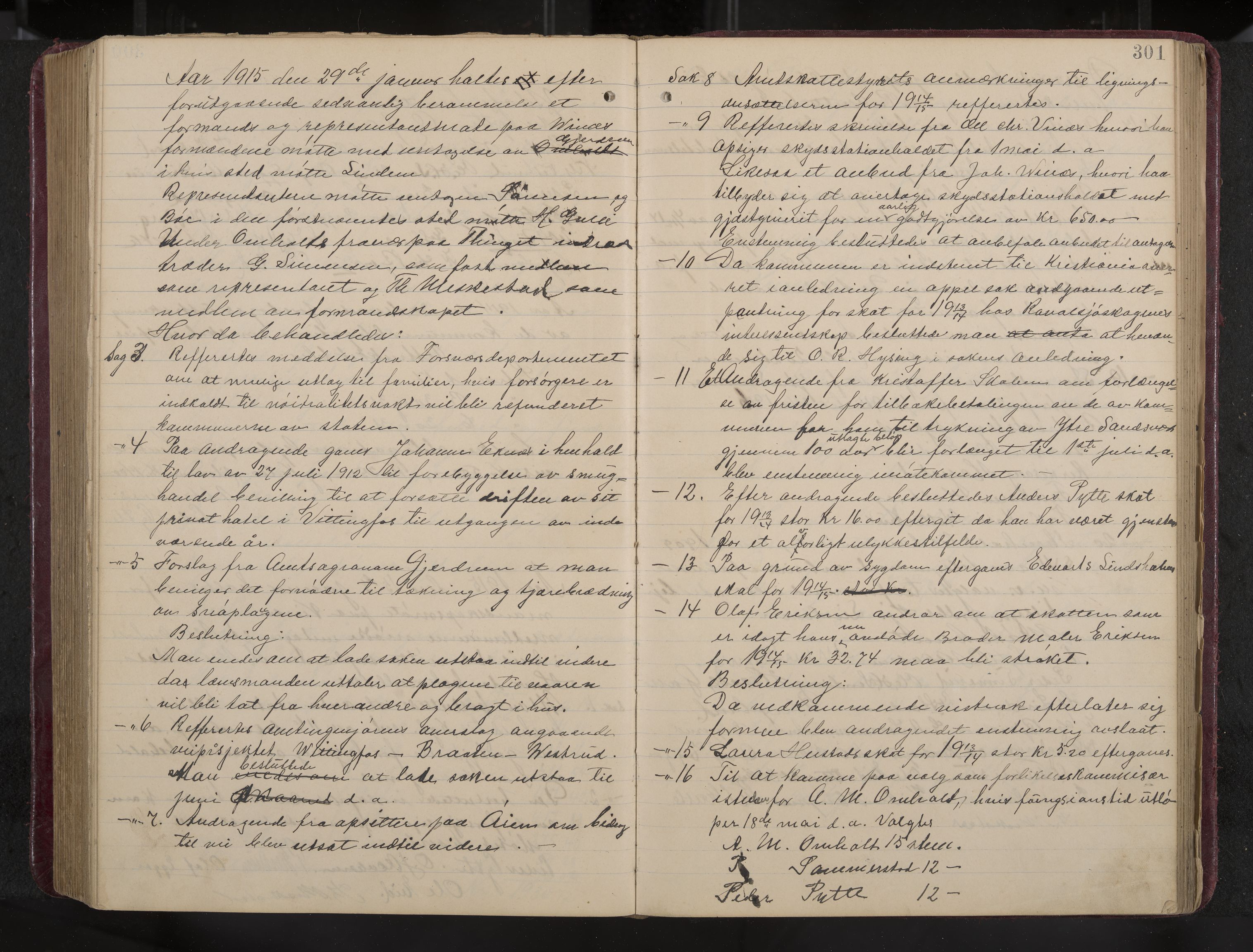 Ytre Sandsvær formannskap og sentraladministrasjon, IKAK/0629021/A/Aa/L0001: Møtebok med register, 1902-1919, p. 301