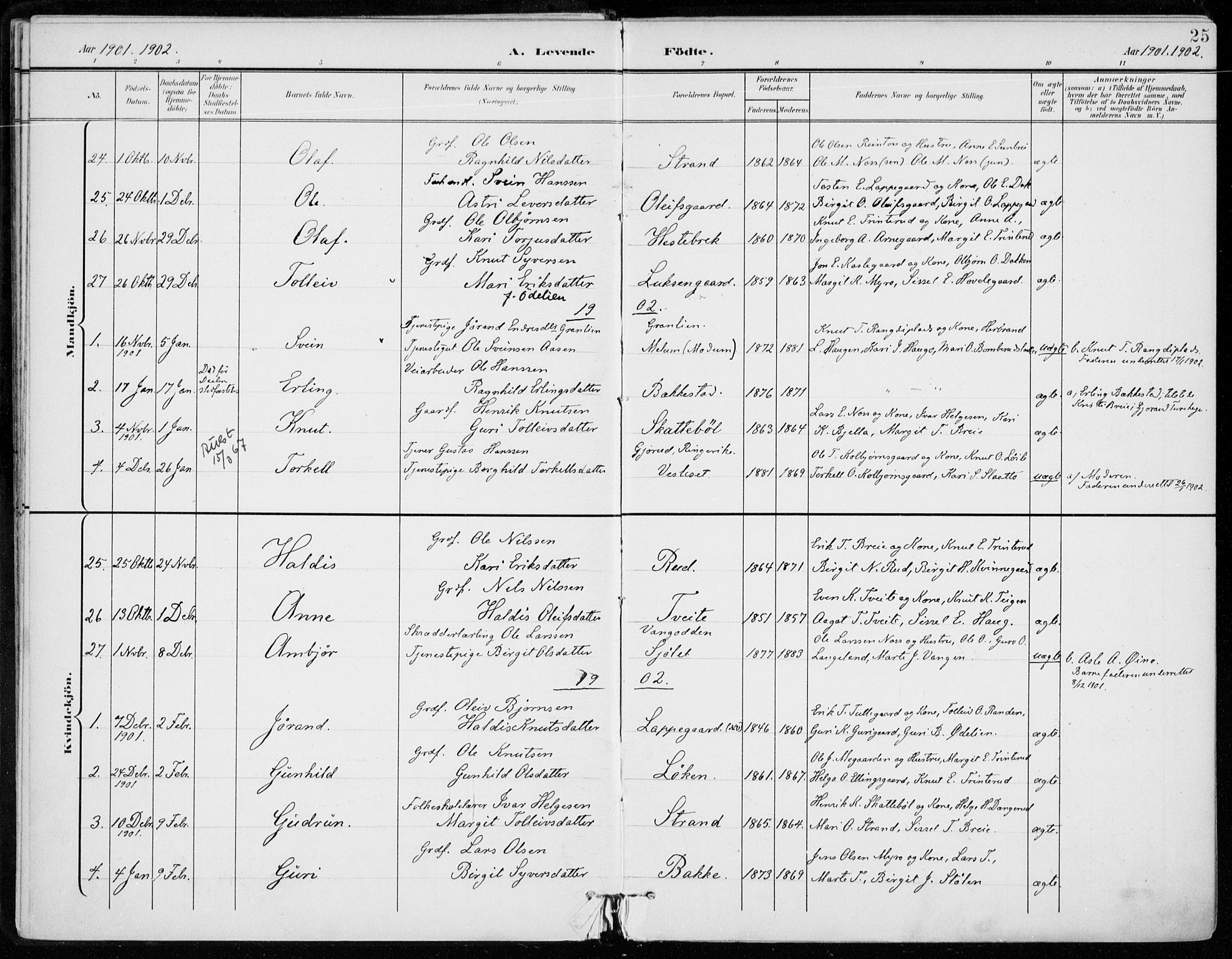 Ål kirkebøker, AV/SAKO-A-249/F/Fa/L0009: Parish register (official) no. I 9, 1897-1915, p. 25