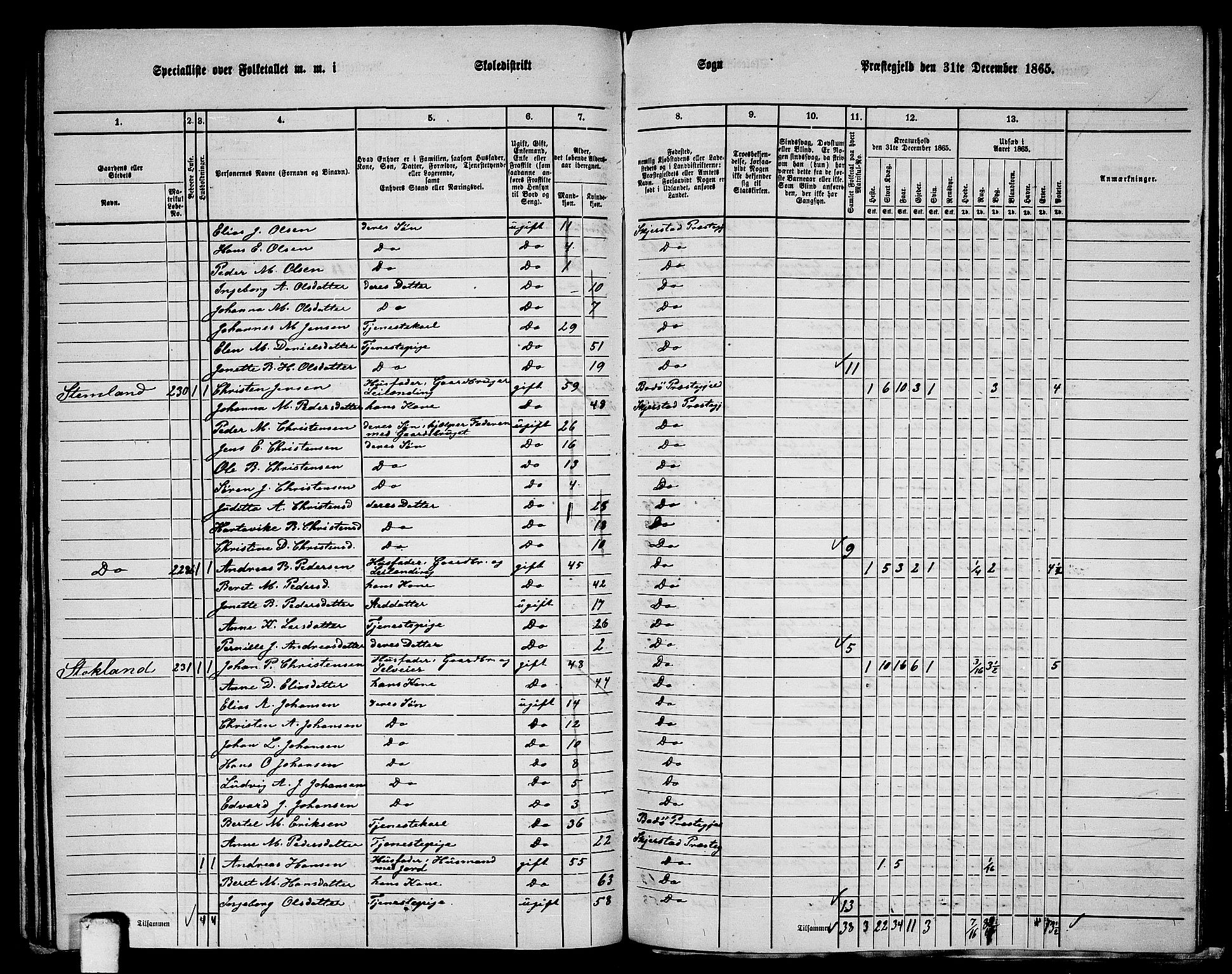 RA, 1865 census for Skjerstad, 1865, p. 115