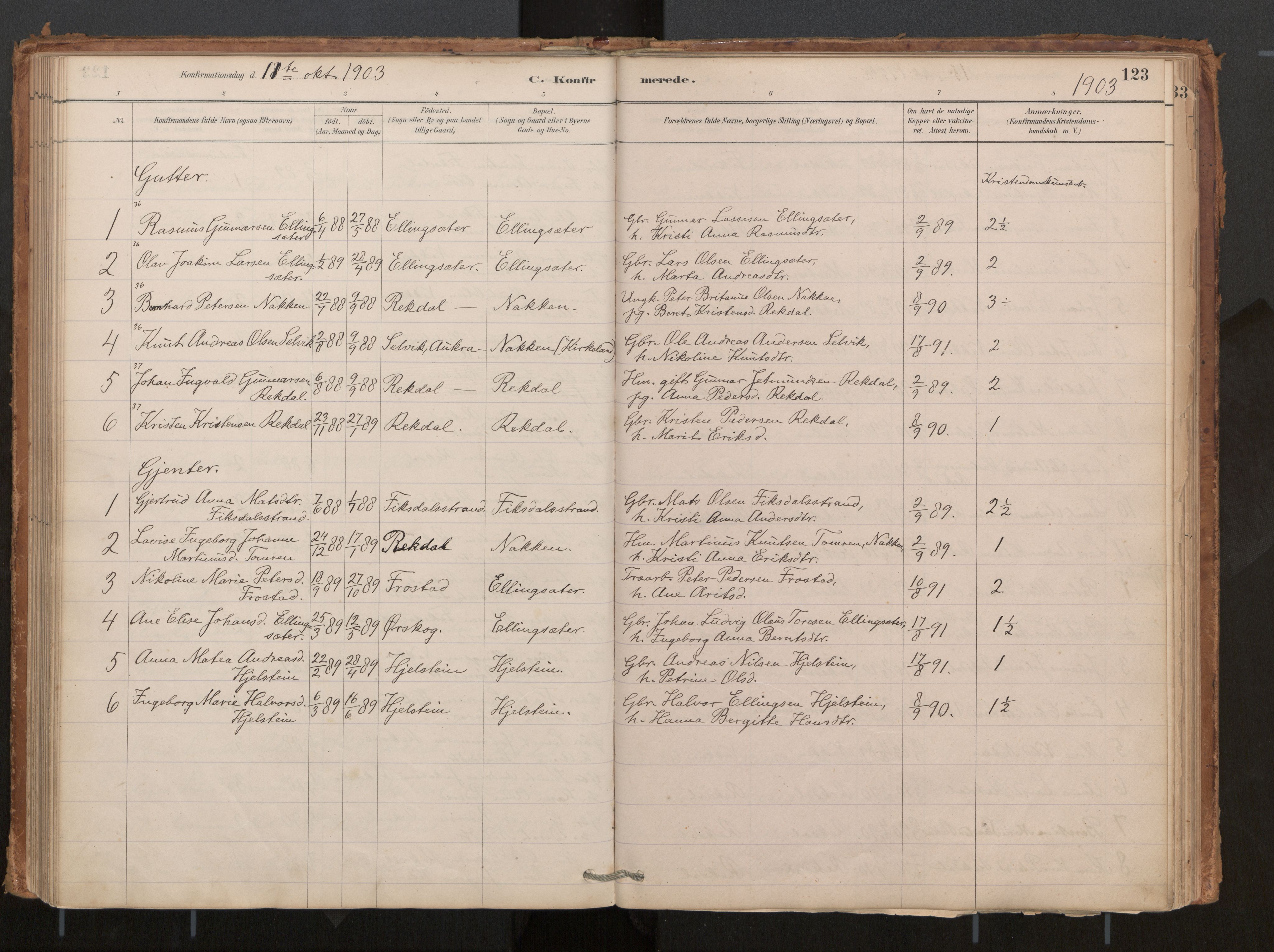 Ministerialprotokoller, klokkerbøker og fødselsregistre - Møre og Romsdal, AV/SAT-A-1454/540/L0540a: Parish register (official) no. 540A02, 1884-1908, p. 123