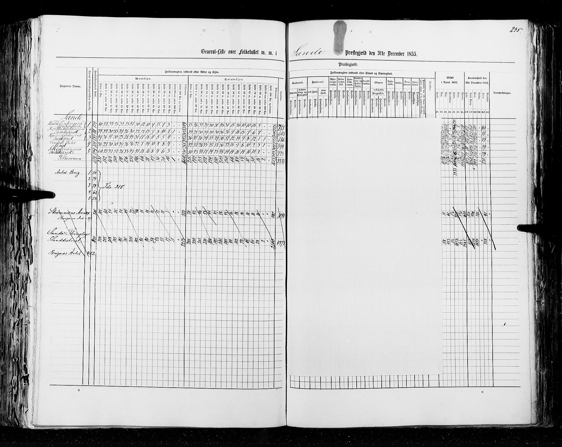 RA, Census 1855, vol. 2: Kristians amt, Buskerud amt og Jarlsberg og Larvik amt, 1855, p. 235