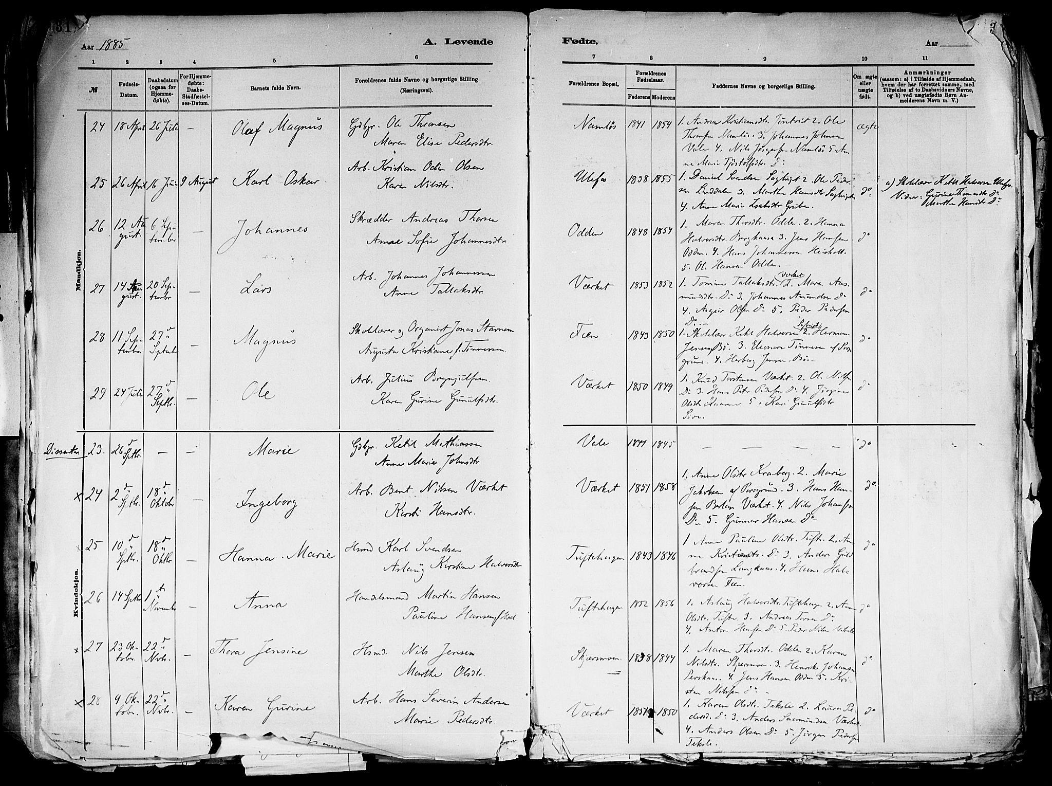 Holla kirkebøker, AV/SAKO-A-272/F/Fa/L0008: Parish register (official) no. 8, 1882-1897, p. 31