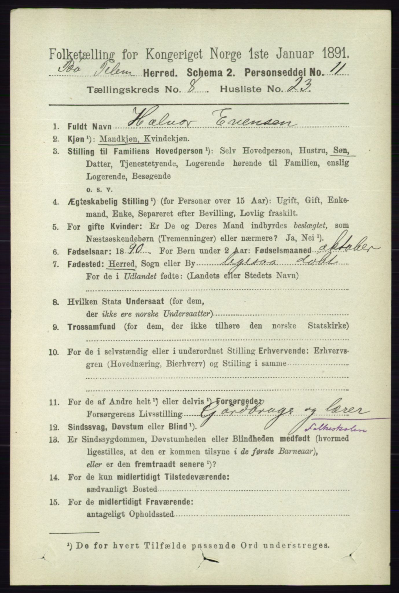 RA, 1891 census for 0821 Bø, 1891, p. 2685