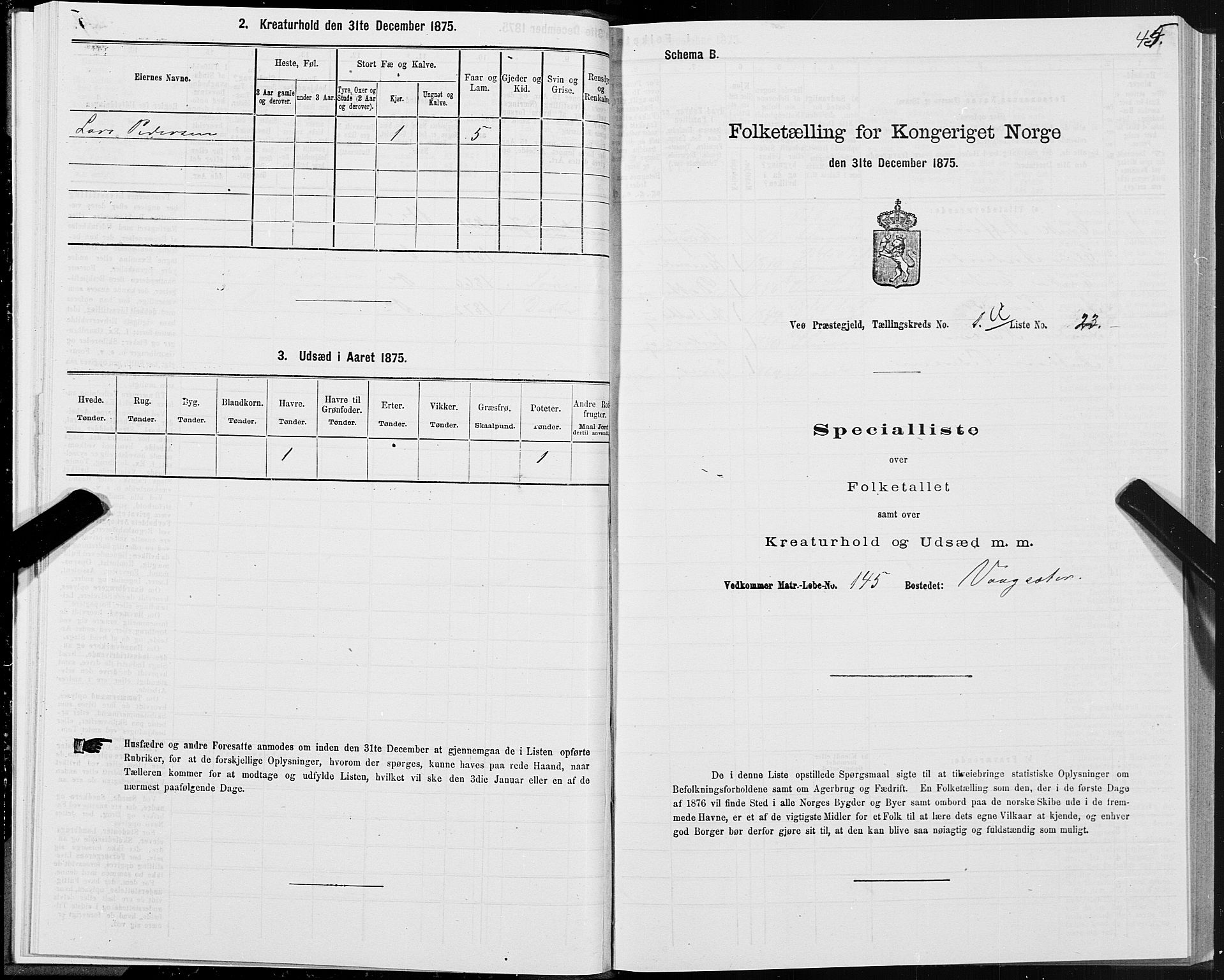 SAT, 1875 census for 1541P Veøy, 1875, p. 1045