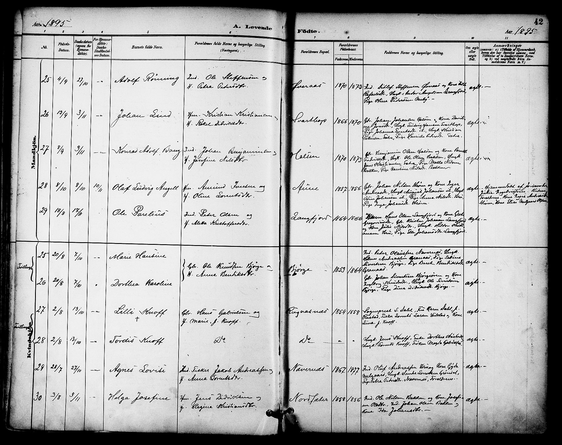 Ministerialprotokoller, klokkerbøker og fødselsregistre - Nordland, AV/SAT-A-1459/814/L0226: Parish register (official) no. 814A07, 1886-1898, p. 42