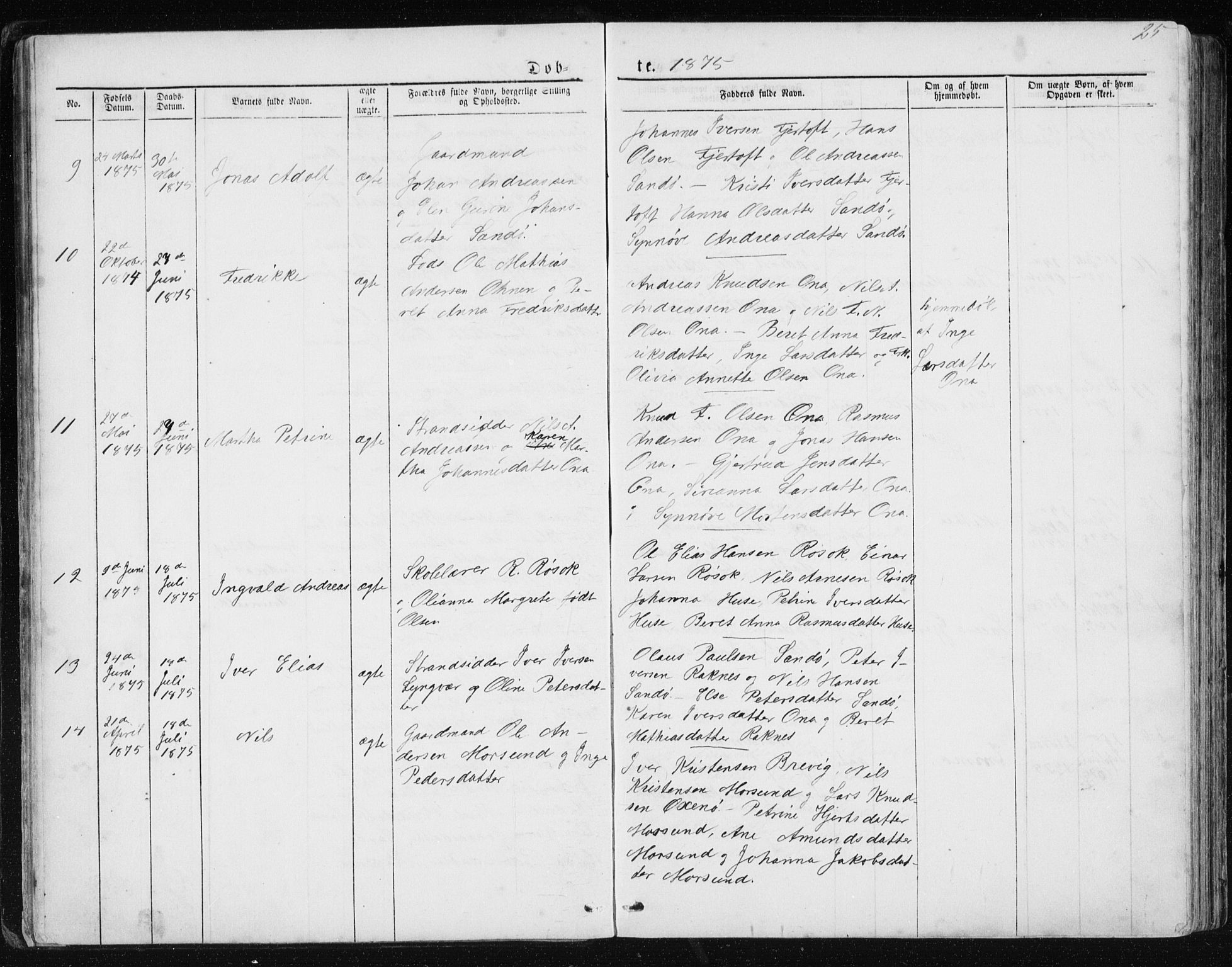 Ministerialprotokoller, klokkerbøker og fødselsregistre - Møre og Romsdal, AV/SAT-A-1454/561/L0732: Parish register (copy) no. 561C02, 1867-1900, p. 25