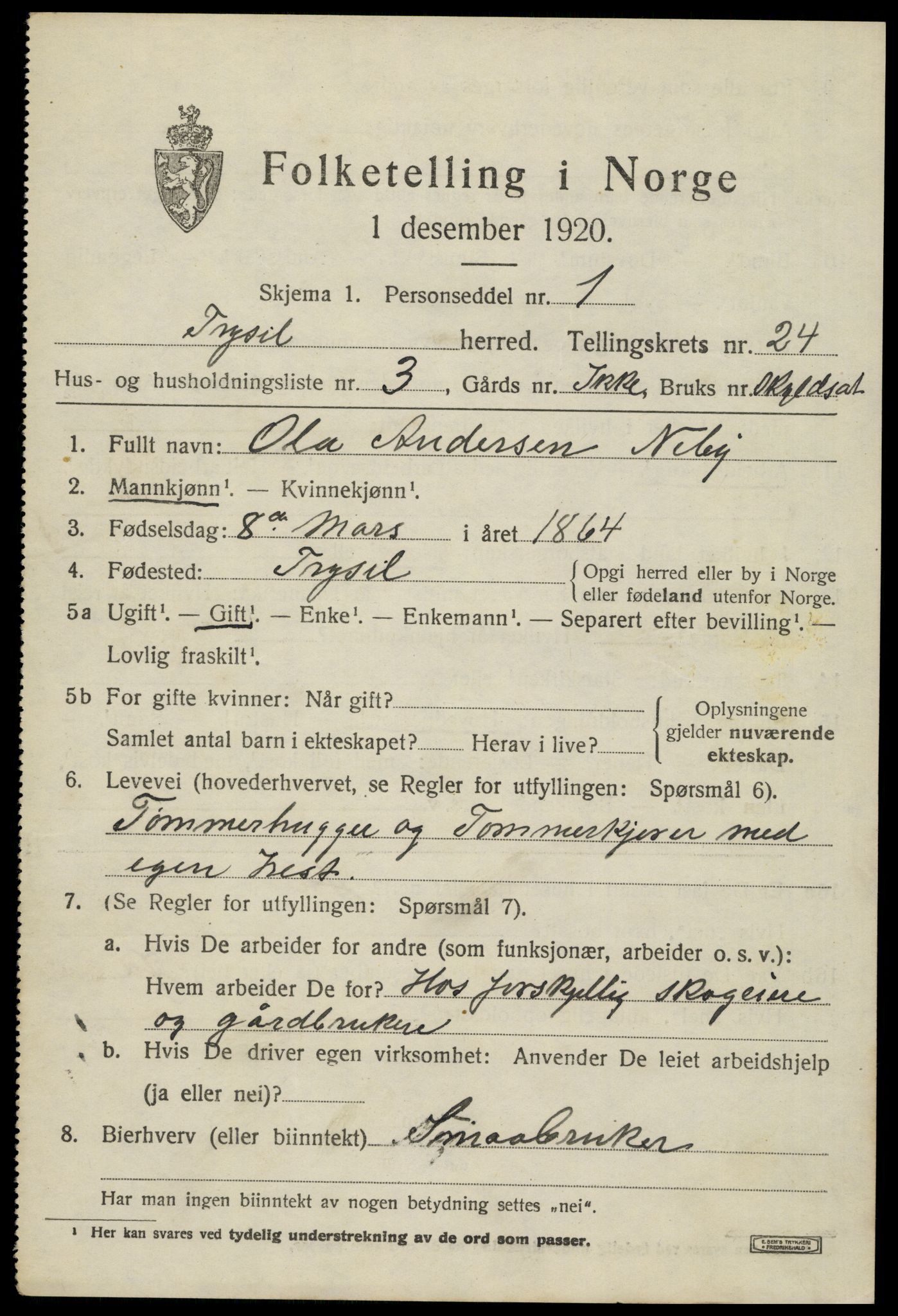 SAH, 1920 census for Trysil, 1920, p. 15233