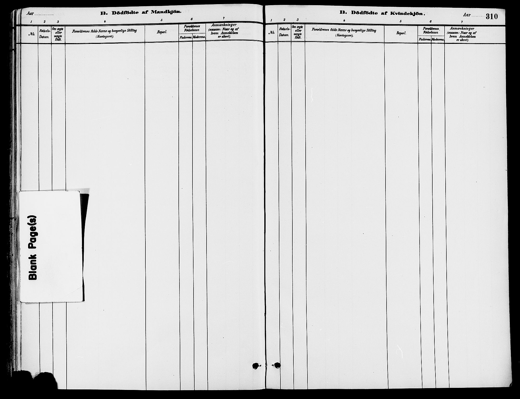 Trysil prestekontor, AV/SAH-PREST-046/H/Ha/Haa/L0008: Parish register (official) no. 8, 1881-1897, p. 310