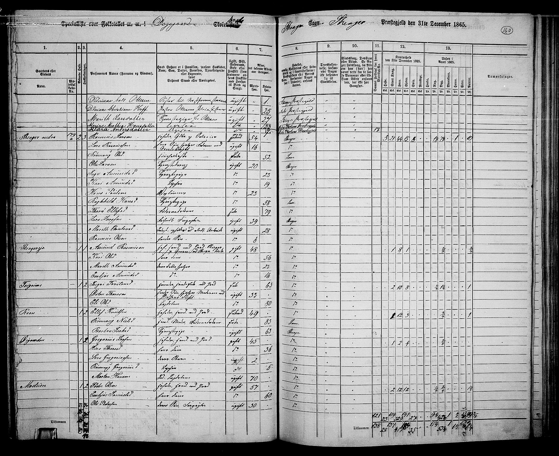 RA, 1865 census for Skjåk, 1865, p. 20