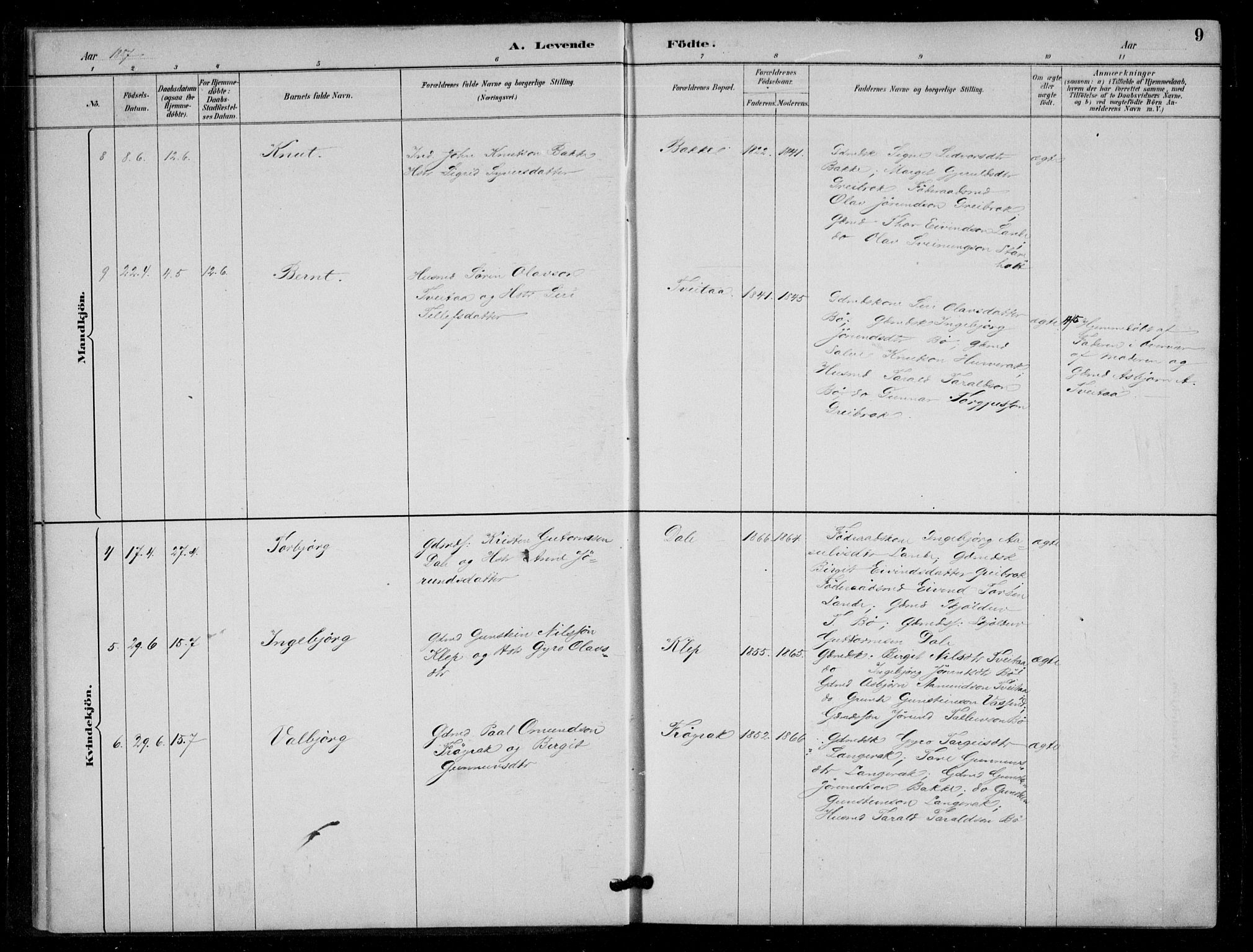 Bygland sokneprestkontor, AV/SAK-1111-0006/F/Fa/Fad/L0001: Parish register (official) no. A 1, 1885-1906, p. 9