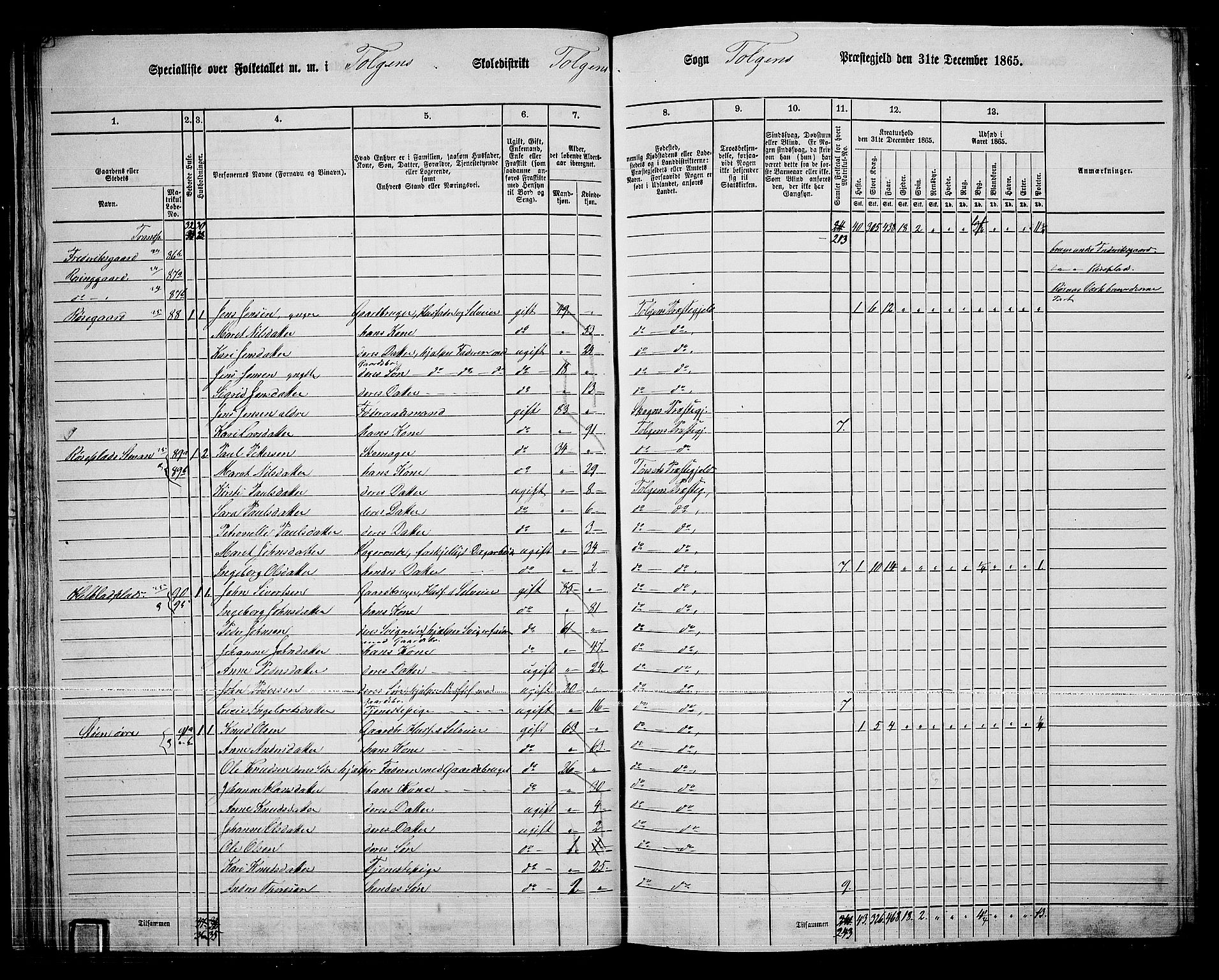 RA, 1865 census for Tolga, 1865, p. 45