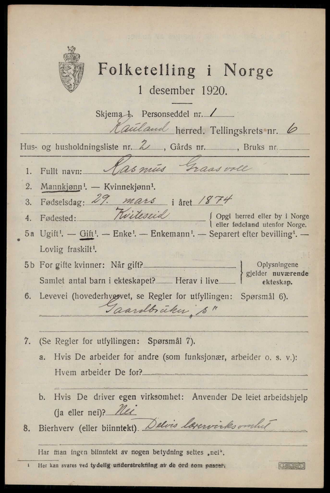 SAKO, 1920 census for Rauland, 1920, p. 1256