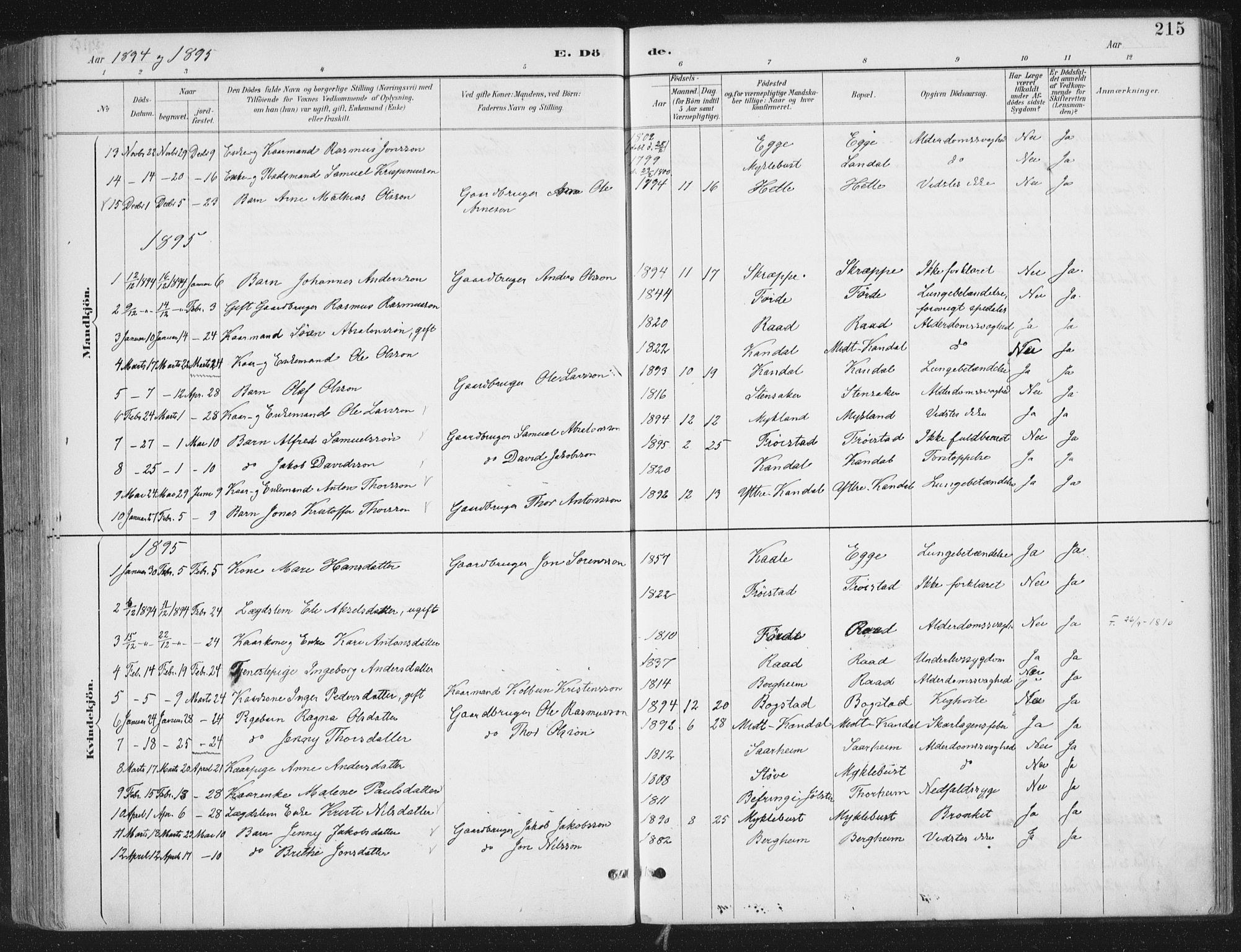 Gloppen sokneprestembete, AV/SAB-A-80101/H/Haa/Haac/L0002: Parish register (official) no. C  2, 1887-1904, p. 215