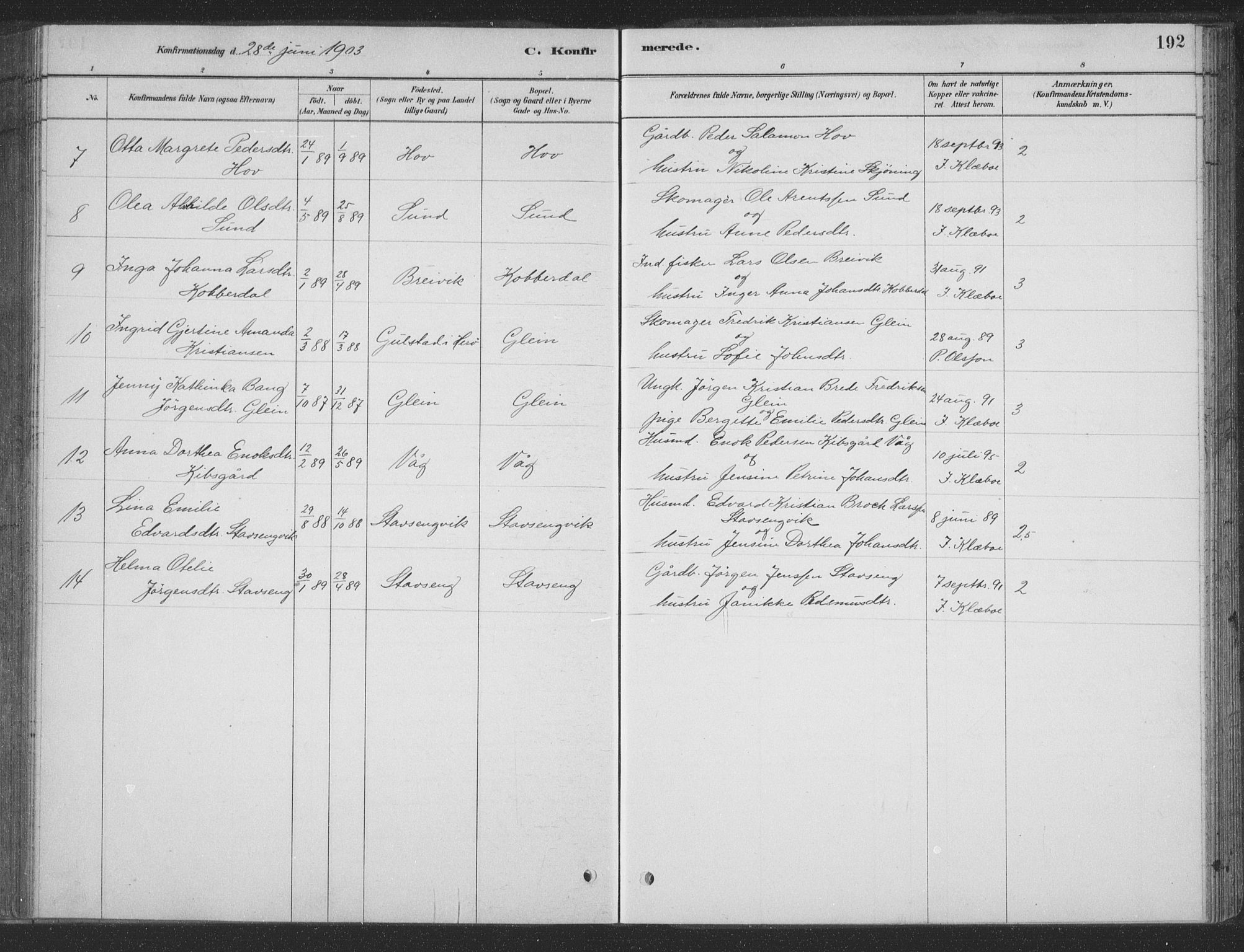 Ministerialprotokoller, klokkerbøker og fødselsregistre - Nordland, AV/SAT-A-1459/835/L0532: Parish register (copy) no. 835C04, 1880-1905, p. 192