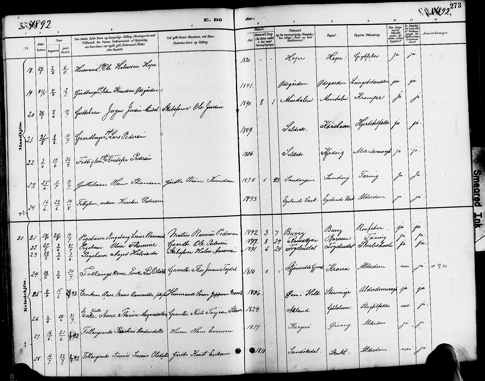 Søndeled sokneprestkontor, AV/SAK-1111-0038/F/Fa/L0005: Parish register (official) no. A 5, 1889-1899, p. 273