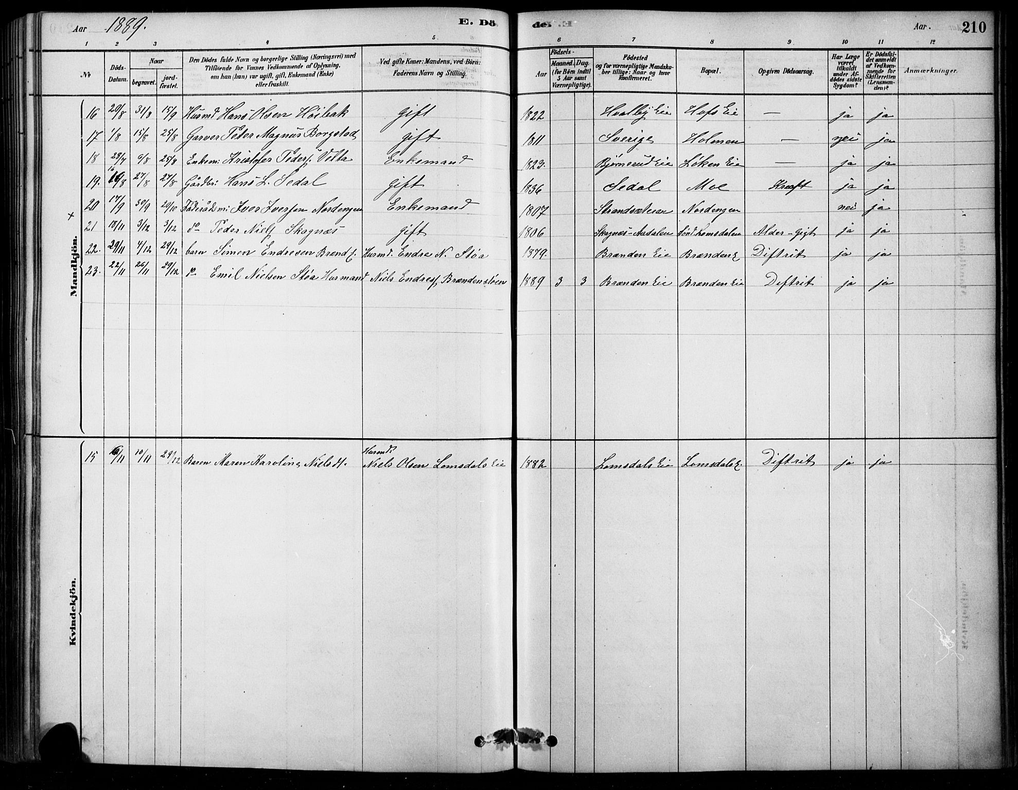 Søndre Land prestekontor, SAH/PREST-122/K/L0003: Parish register (official) no. 3, 1878-1894, p. 210