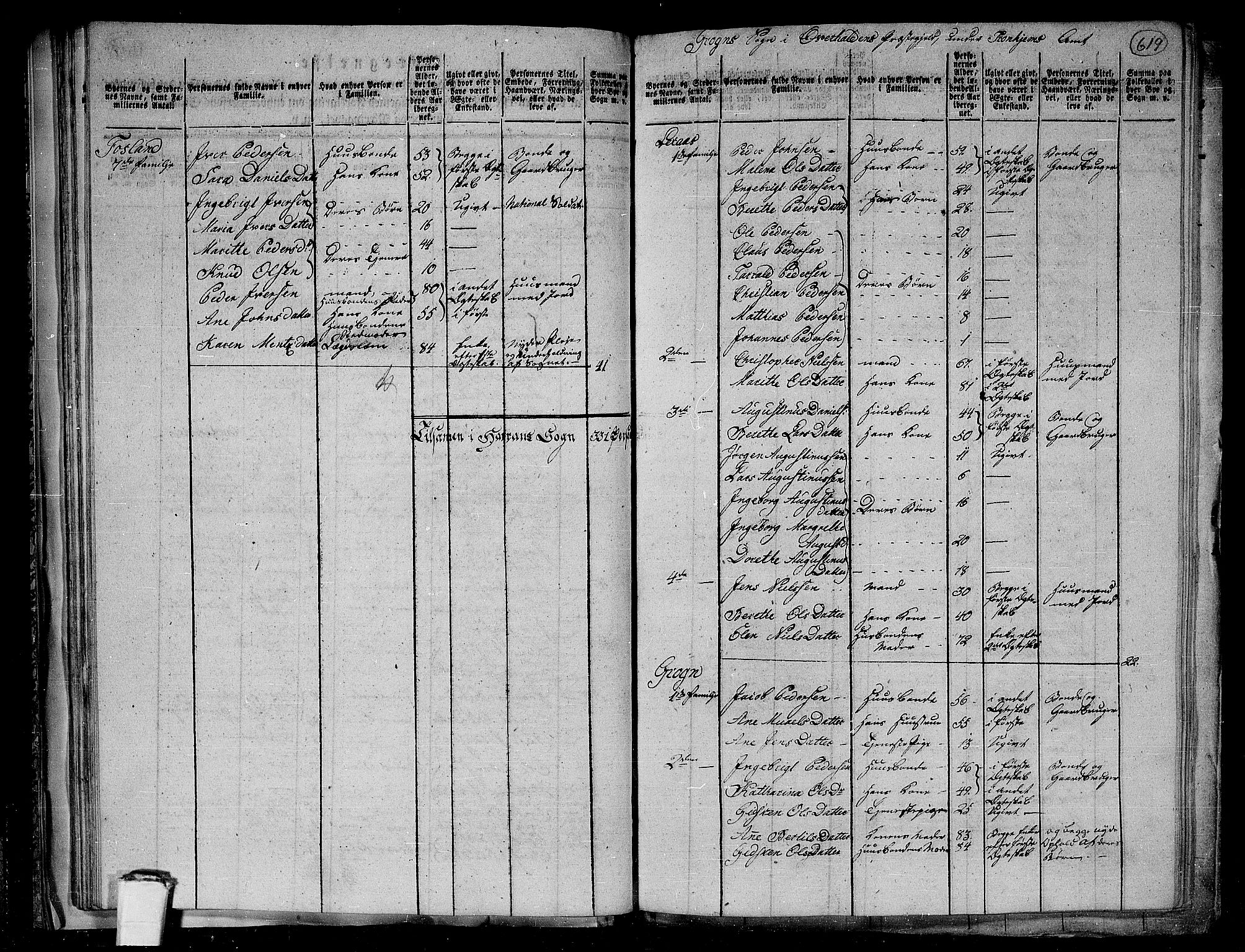 RA, 1801 census for 1744P Overhalla, 1801, p. 618b-619a
