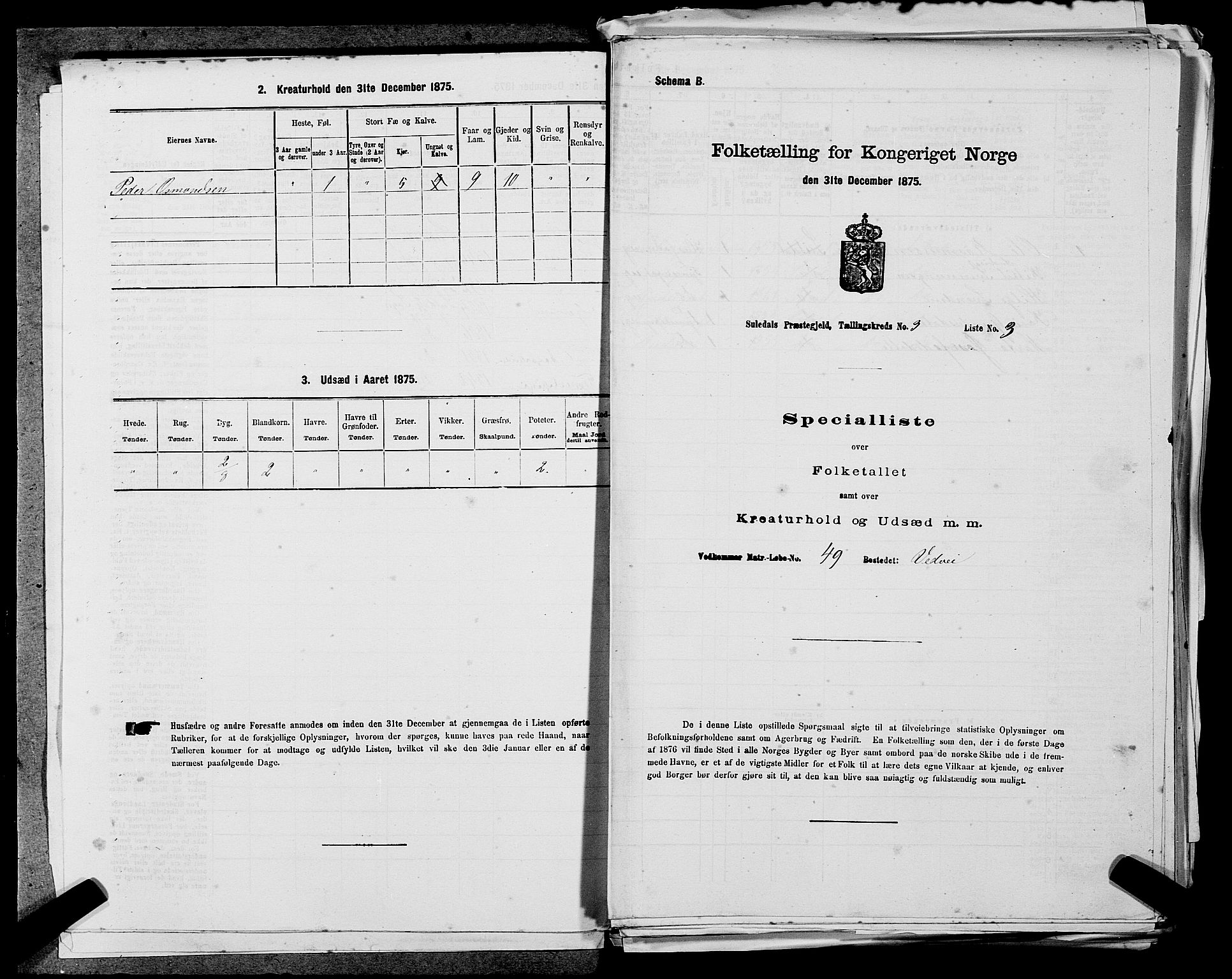 SAST, 1875 census for 1134P Suldal, 1875, p. 381