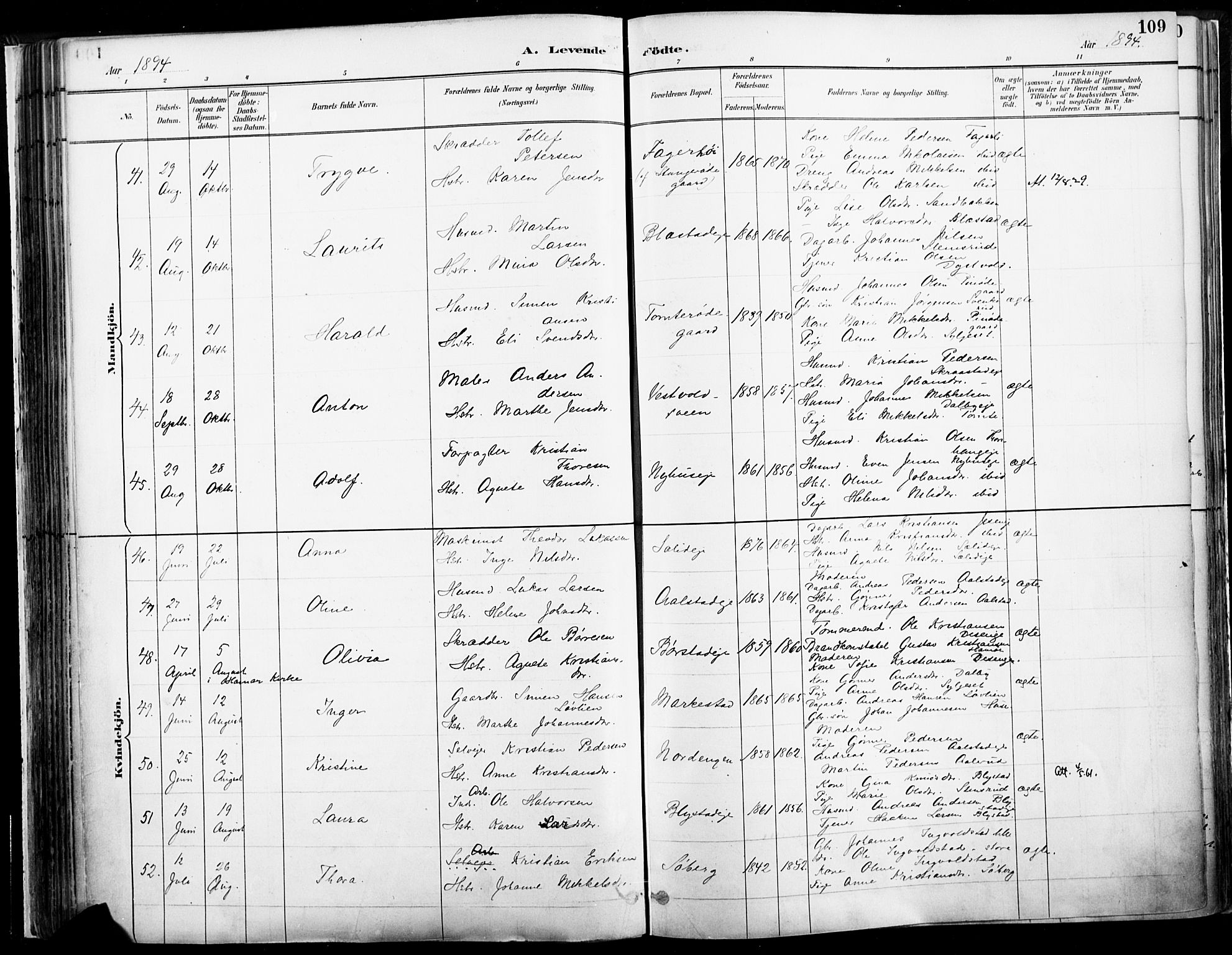 Vang prestekontor, Hedmark, AV/SAH-PREST-008/H/Ha/Haa/L0019A: Parish register (official) no. 19, 1886-1900, p. 109