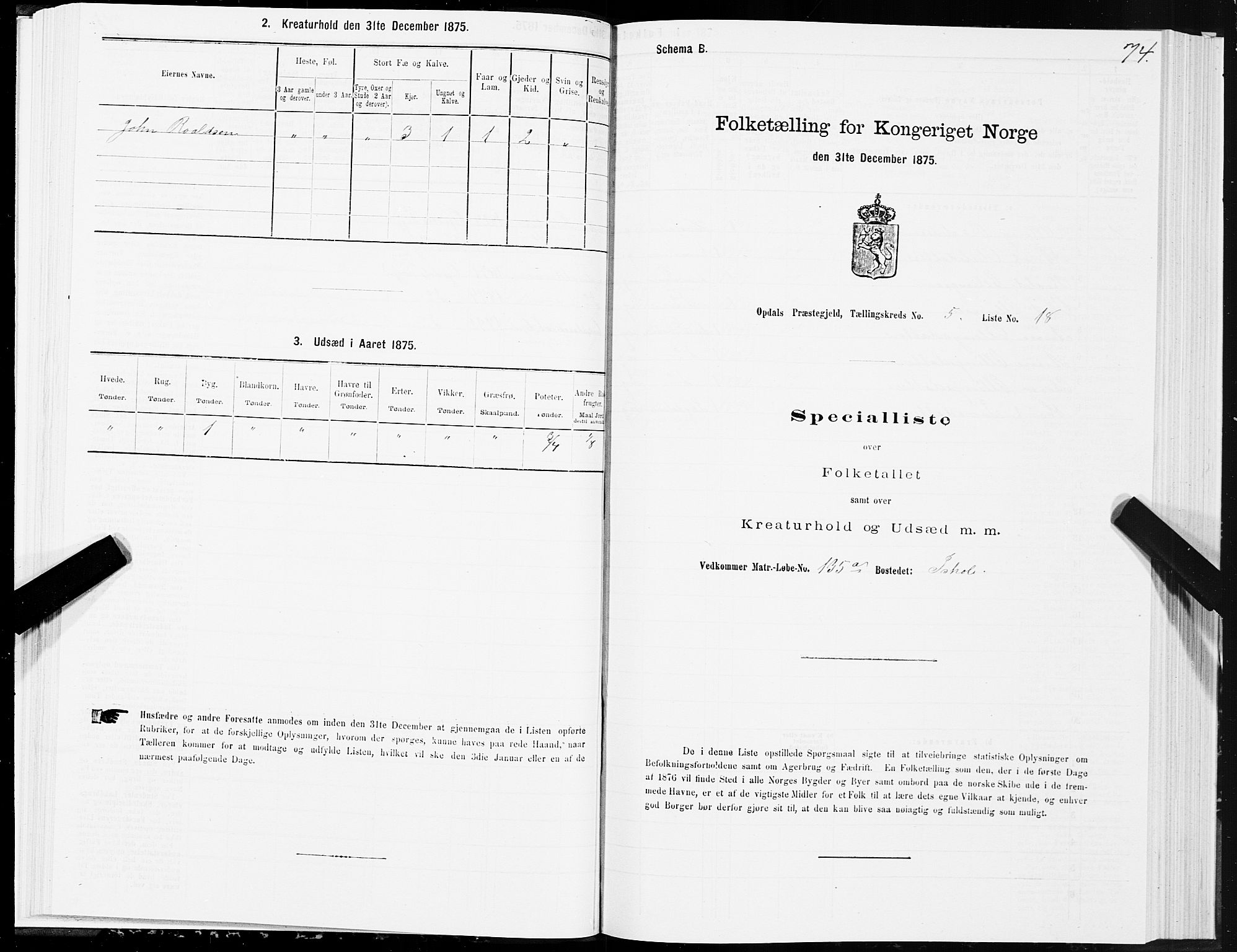 SAT, 1875 census for 1634P Oppdal, 1875, p. 3074