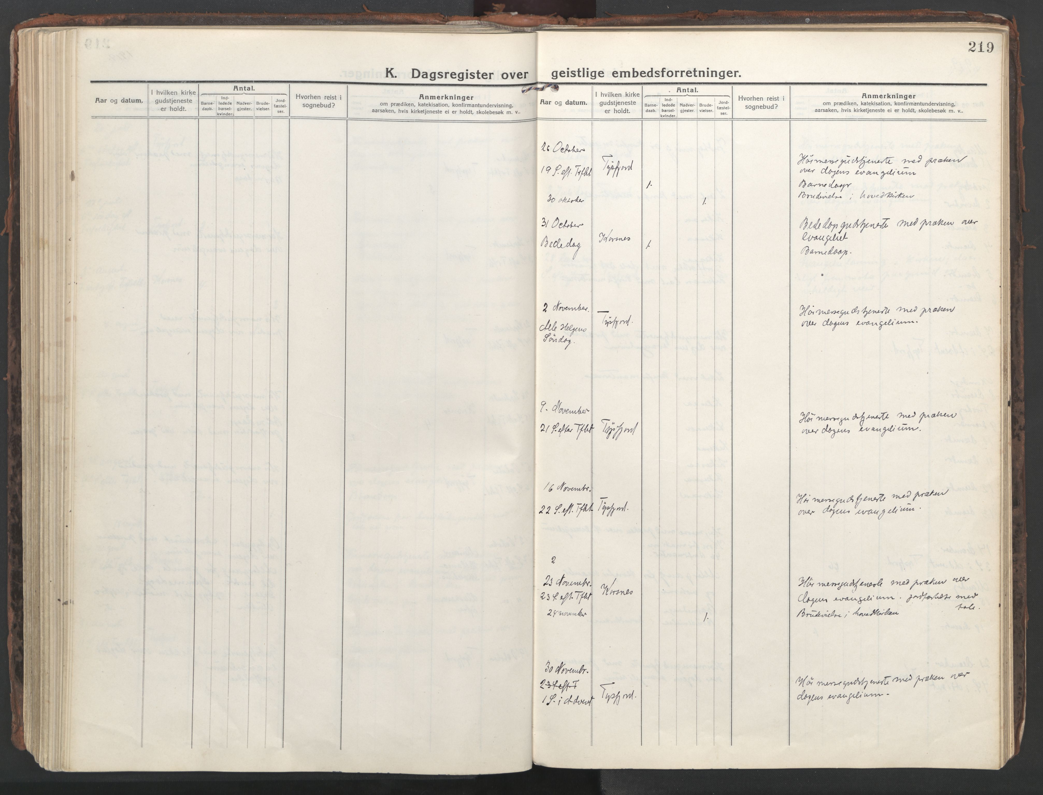 Ministerialprotokoller, klokkerbøker og fødselsregistre - Nordland, AV/SAT-A-1459/861/L0872: Parish register (official) no. 861A07, 1915-1924, p. 219