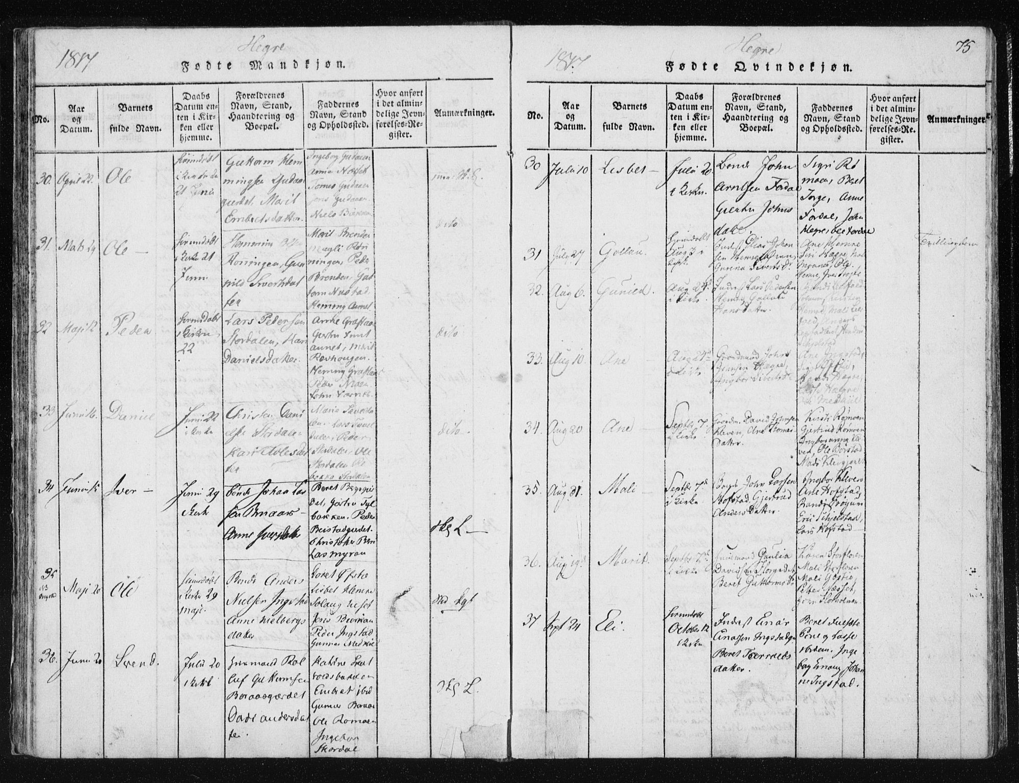 Ministerialprotokoller, klokkerbøker og fødselsregistre - Nord-Trøndelag, AV/SAT-A-1458/709/L0061: Parish register (official) no. 709A08 /4, 1815-1819, p. 75