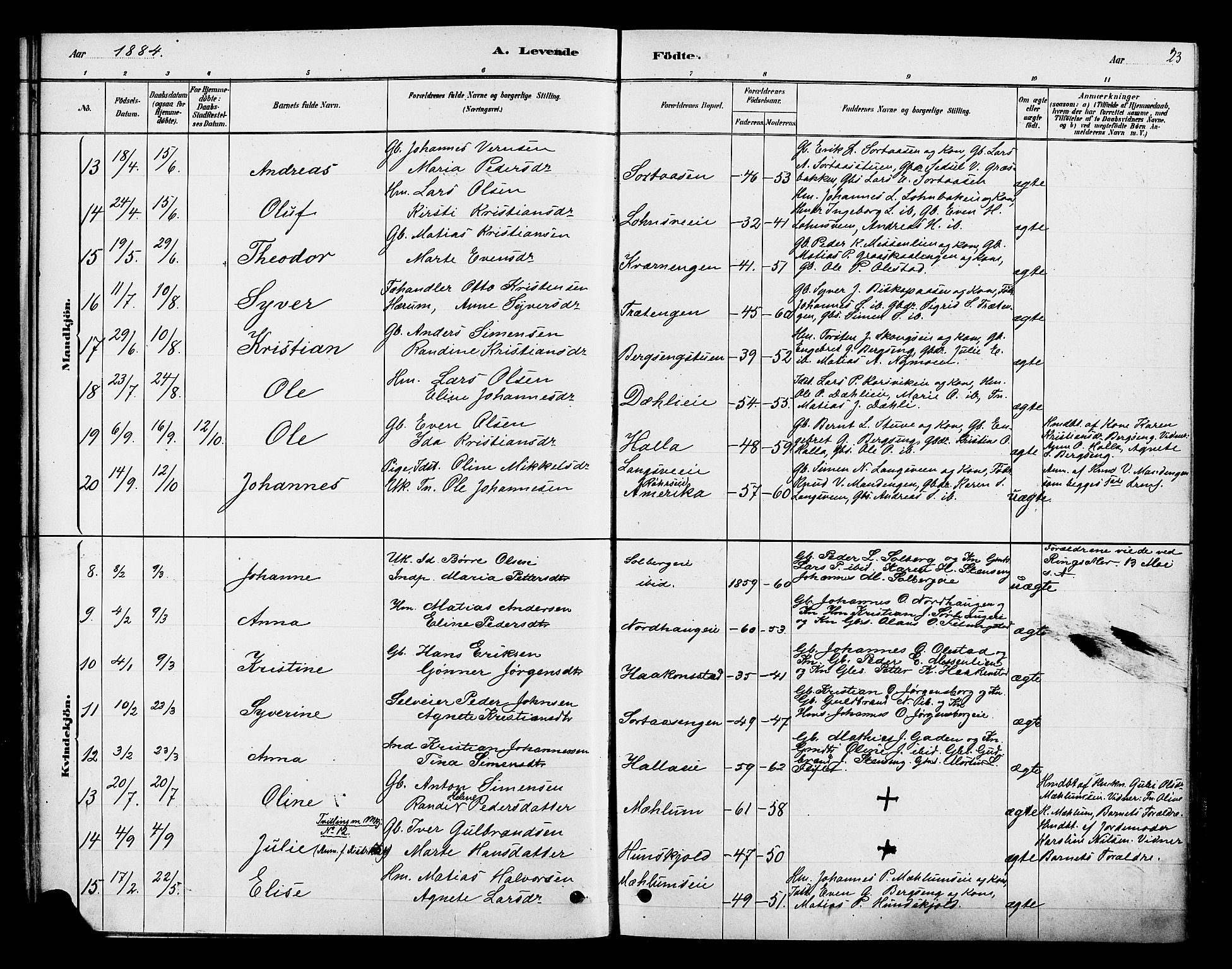 Ringsaker prestekontor, AV/SAH-PREST-014/K/Ka/L0013: Parish register (official) no. 13, 1879-1890, p. 23