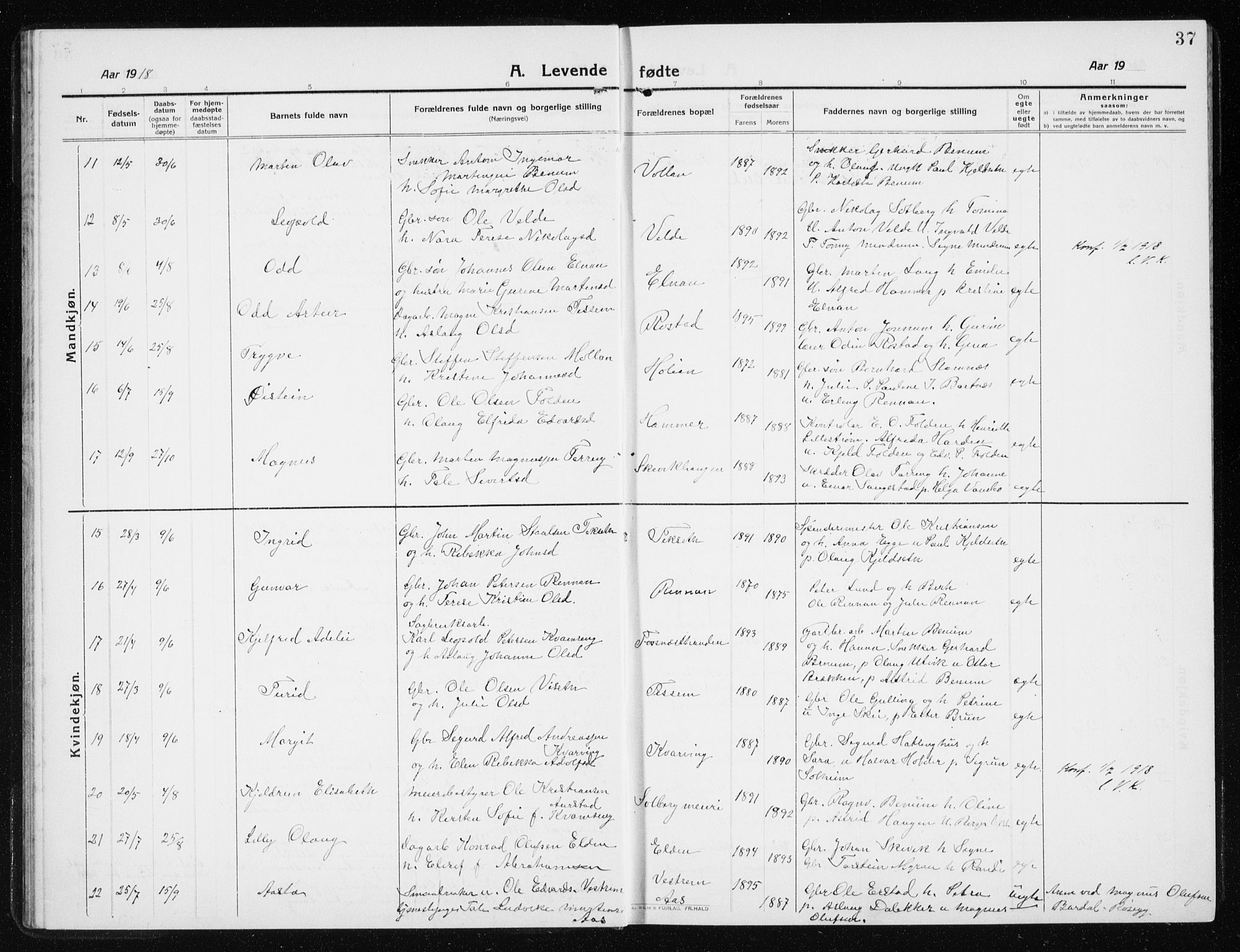 Ministerialprotokoller, klokkerbøker og fødselsregistre - Nord-Trøndelag, AV/SAT-A-1458/741/L0402: Parish register (copy) no. 741C03, 1911-1926, p. 37