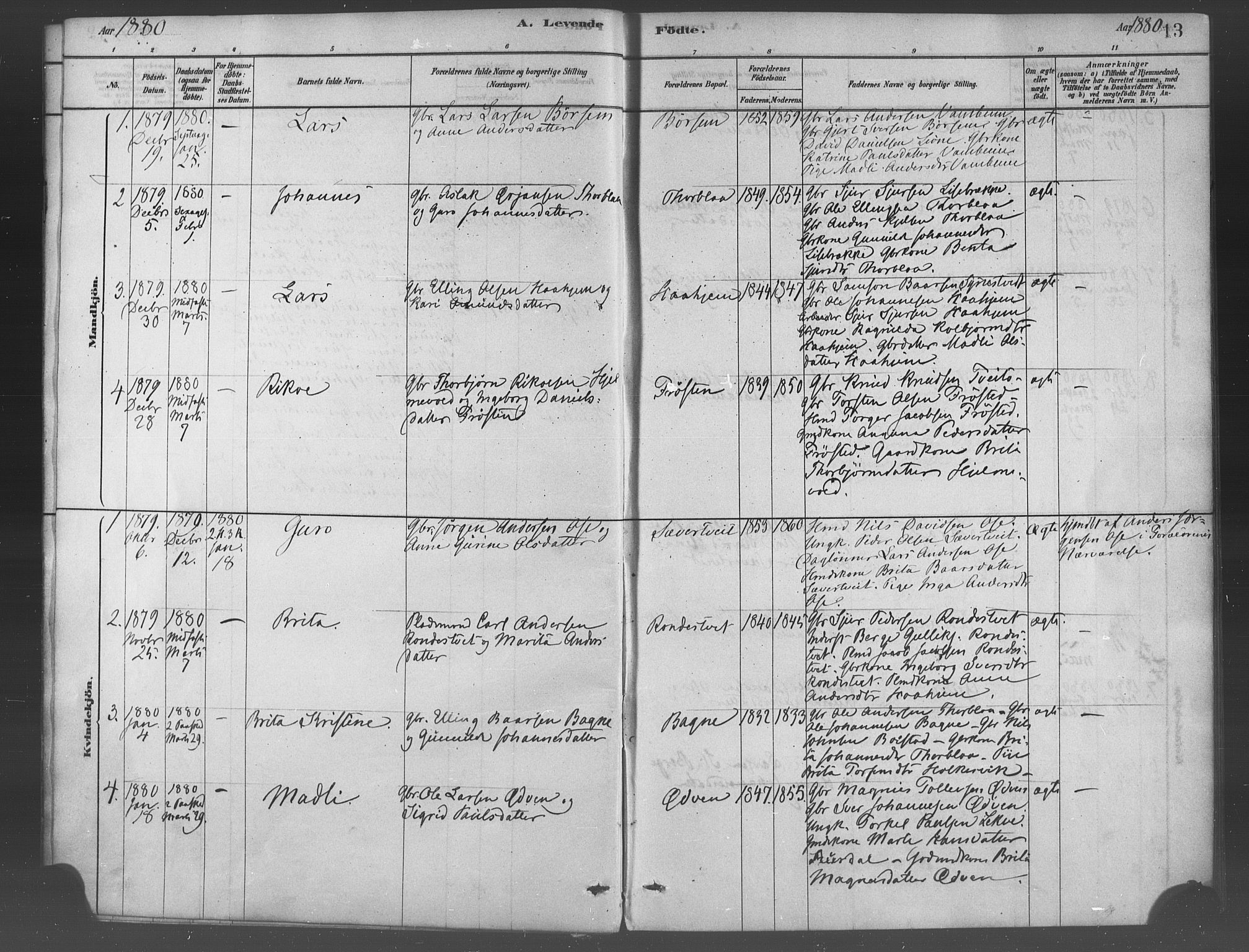Ulvik sokneprestembete, AV/SAB-A-78801/H/Haa: Parish register (official) no. B 1, 1878-1897, p. 13