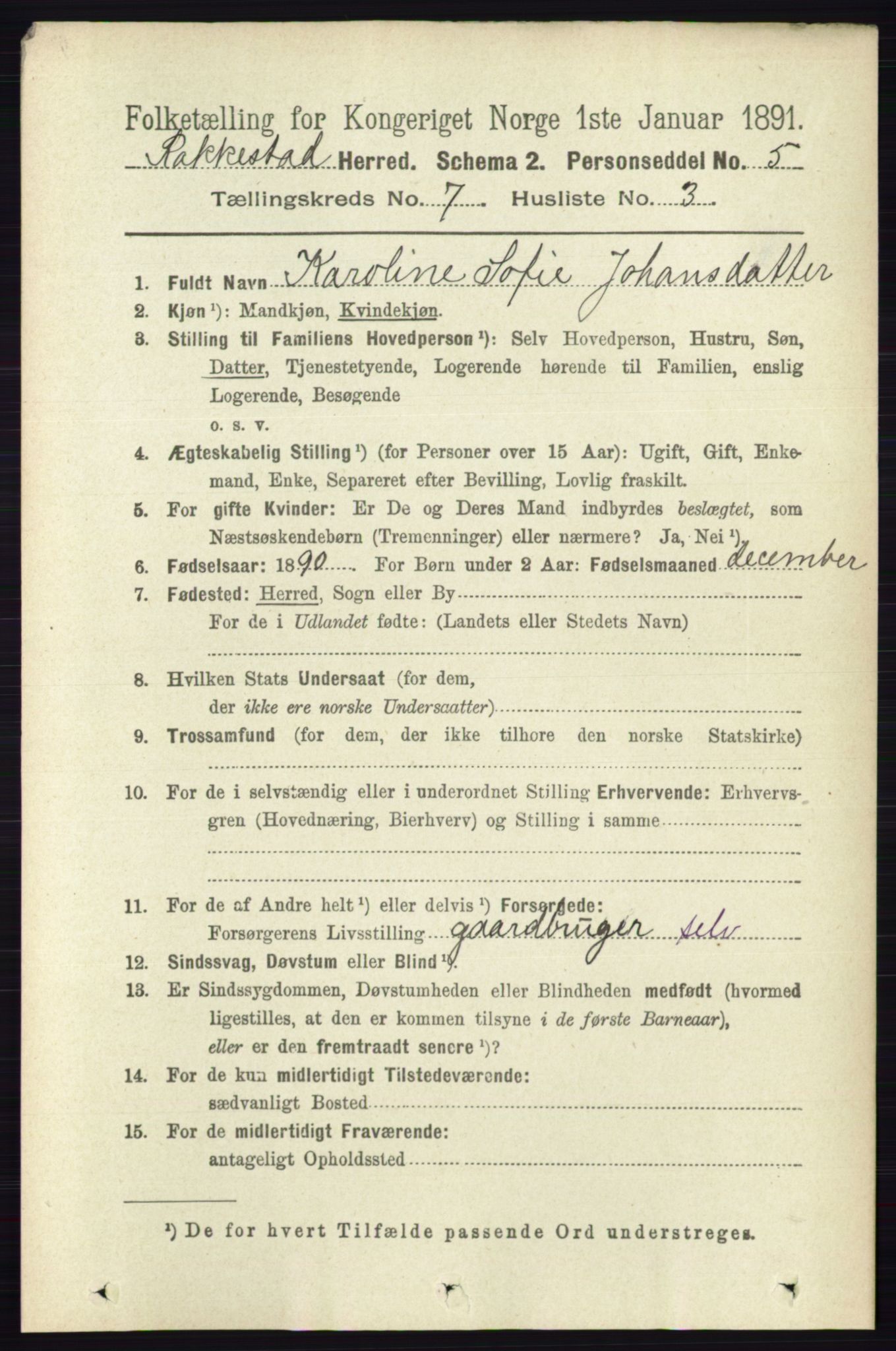 RA, 1891 census for 0128 Rakkestad, 1891, p. 3145