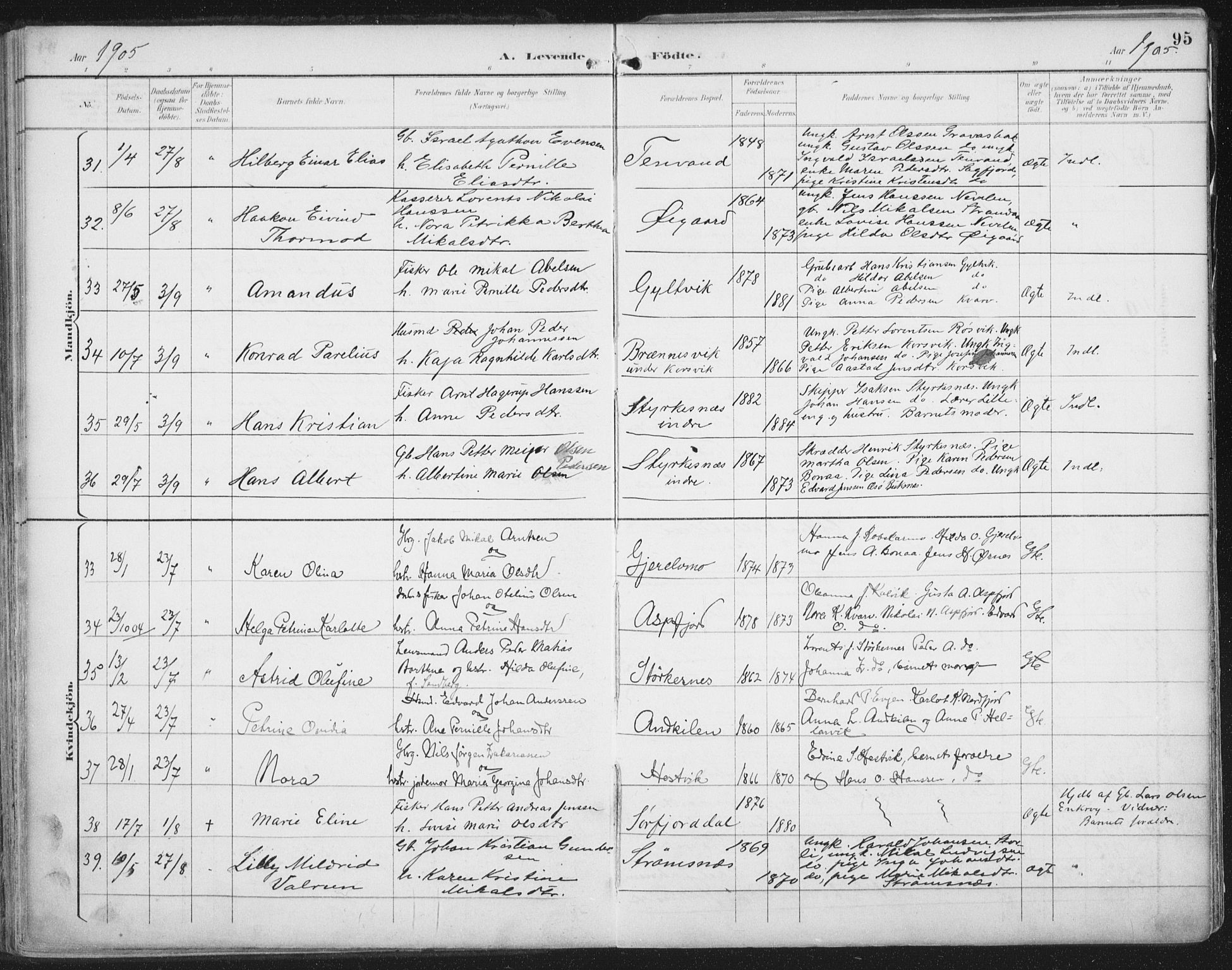 Ministerialprotokoller, klokkerbøker og fødselsregistre - Nordland, SAT/A-1459/854/L0779: Parish register (official) no. 854A02, 1892-1909, p. 95