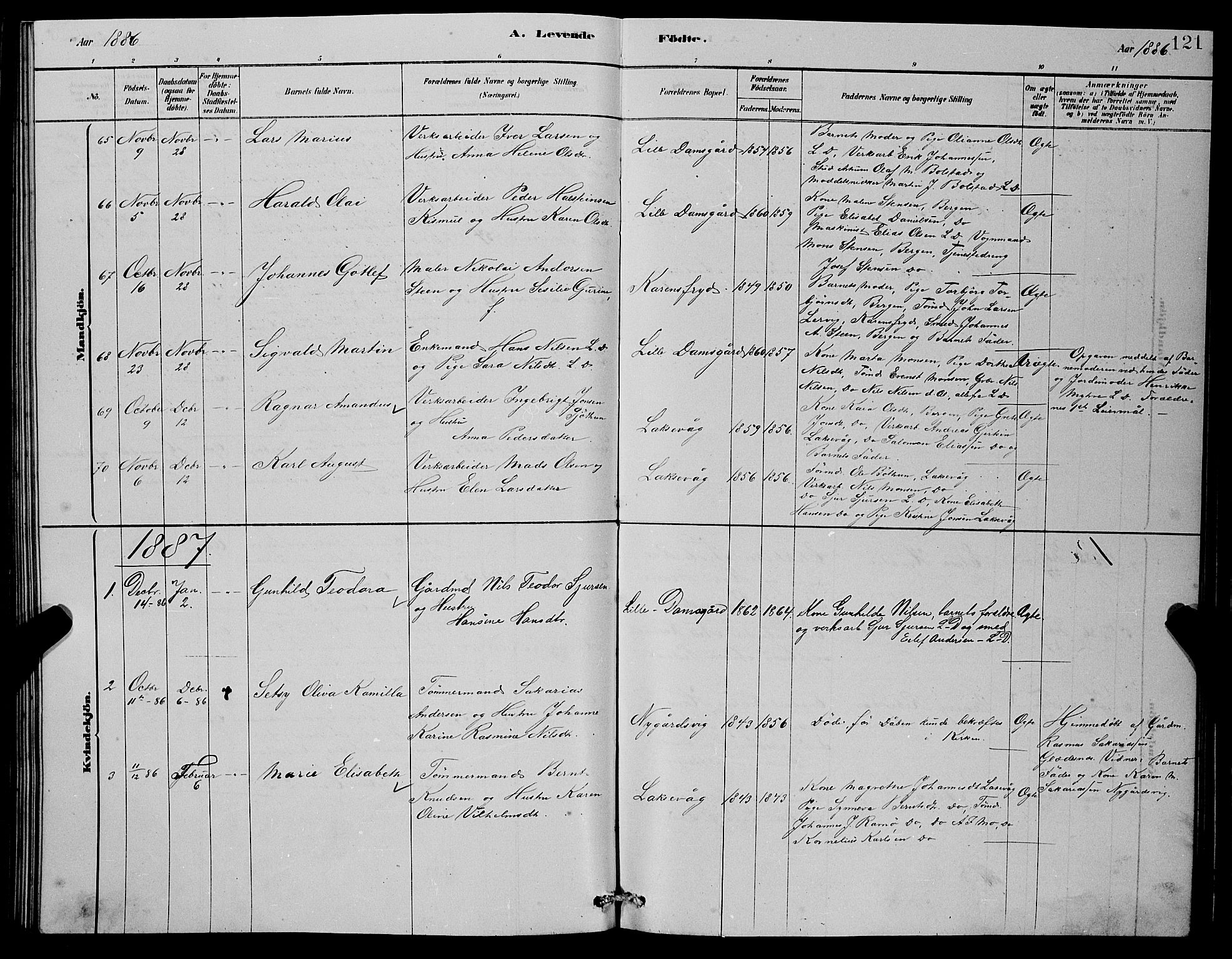 Laksevåg Sokneprestembete, SAB/A-76501/H/Ha/Hab/Haba/L0002: Parish register (copy) no. A 2, 1877-1887, p. 121