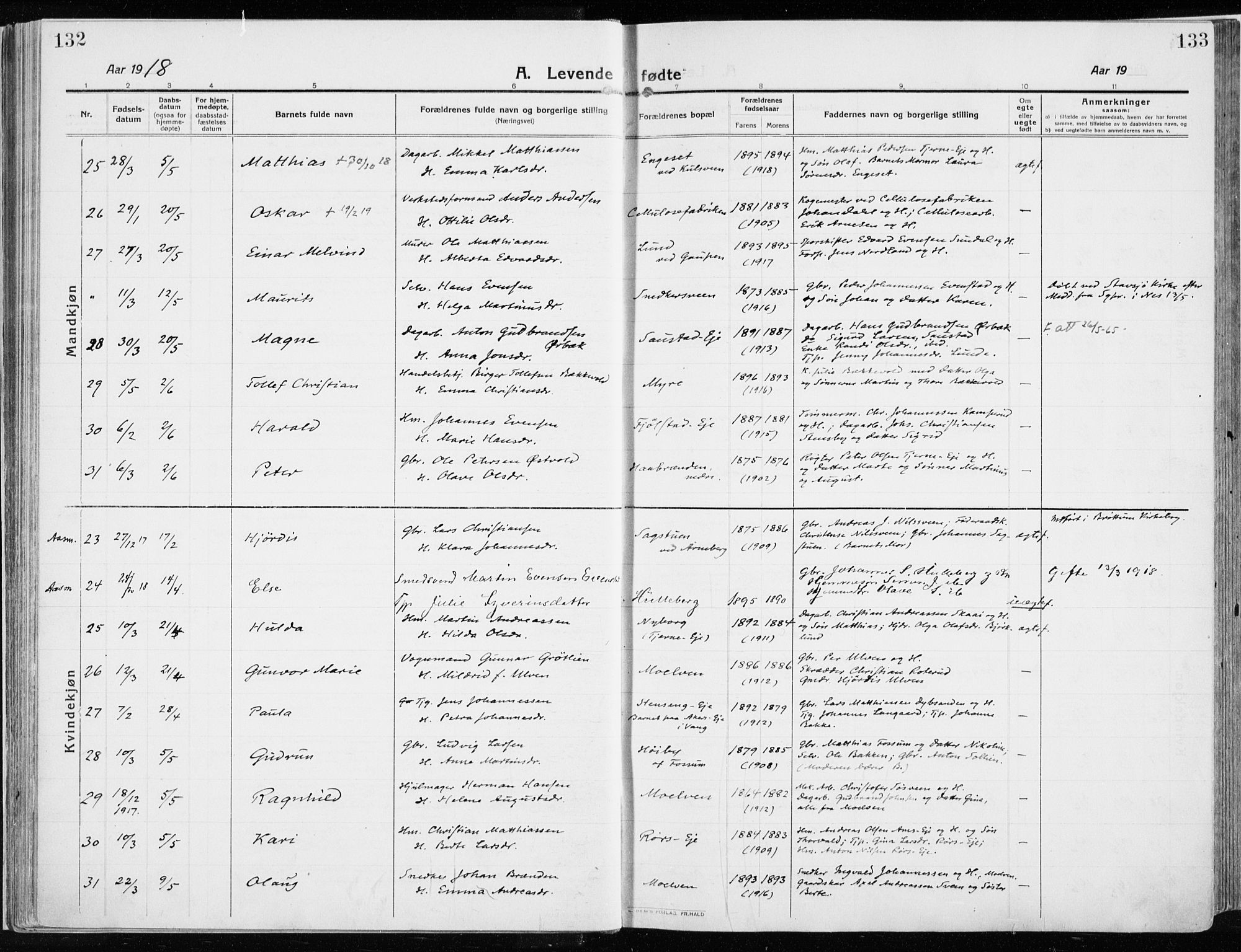Ringsaker prestekontor, SAH/PREST-014/K/Ka/L0020: Parish register (official) no. 20, 1913-1922, p. 132-133