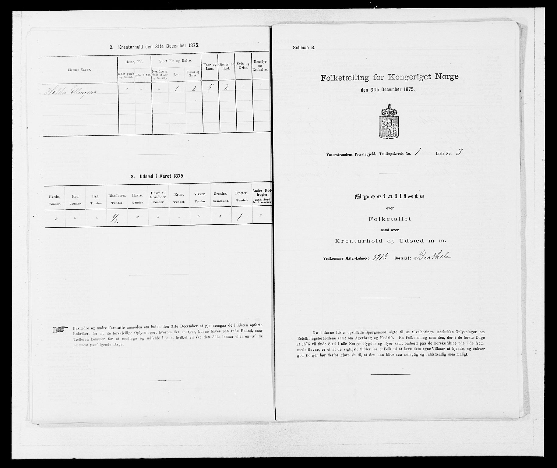 SAB, 1875 census for 1236P Vossestrand, 1875, p. 25