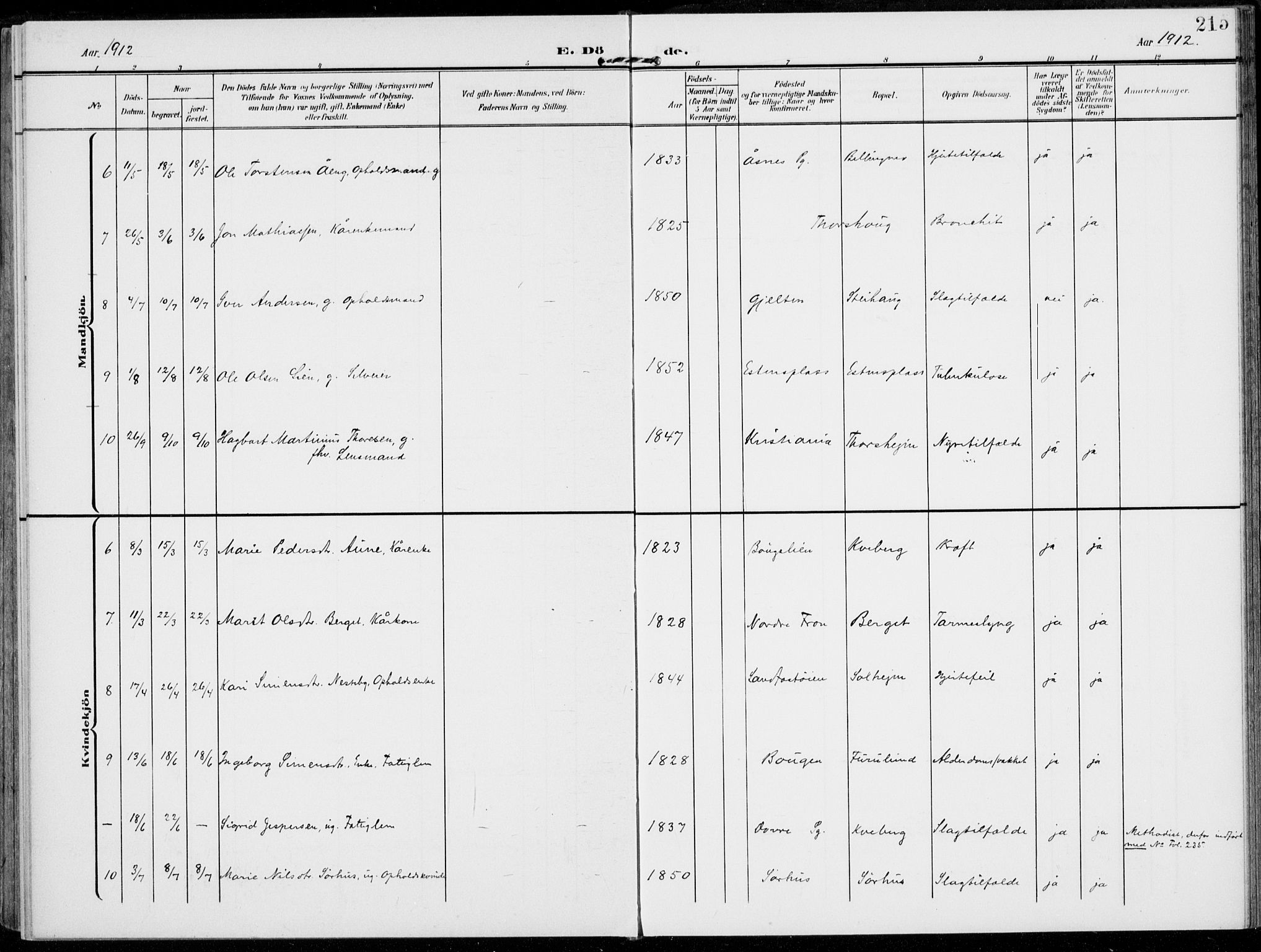 Alvdal prestekontor, SAH/PREST-060/H/Ha/Haa/L0004: Parish register (official) no. 4, 1907-1919, p. 215