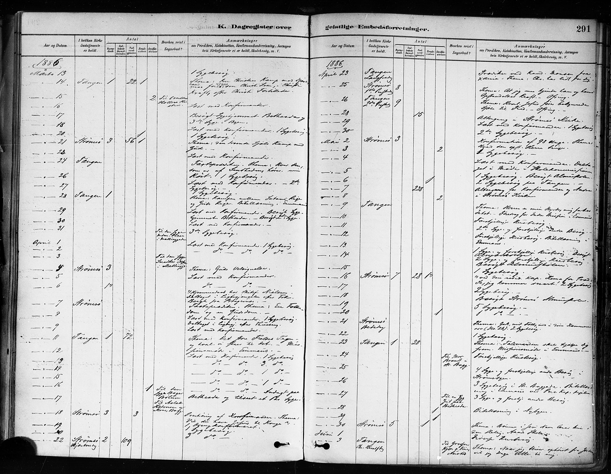 Strømsø kirkebøker, SAKO/A-246/F/Fa/L0022: Parish register (official) no. I 22, 1879-1899, p. 291