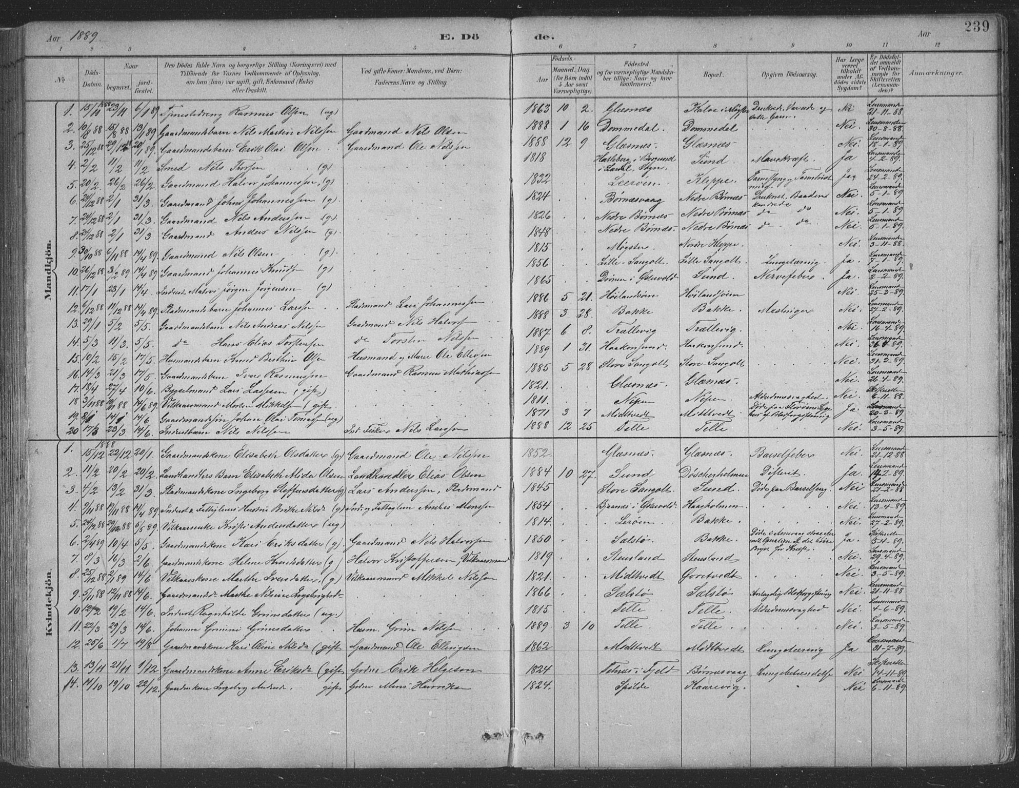 Sund sokneprestembete, SAB/A-99930: Parish register (copy) no. B 3, 1882-1911, p. 239