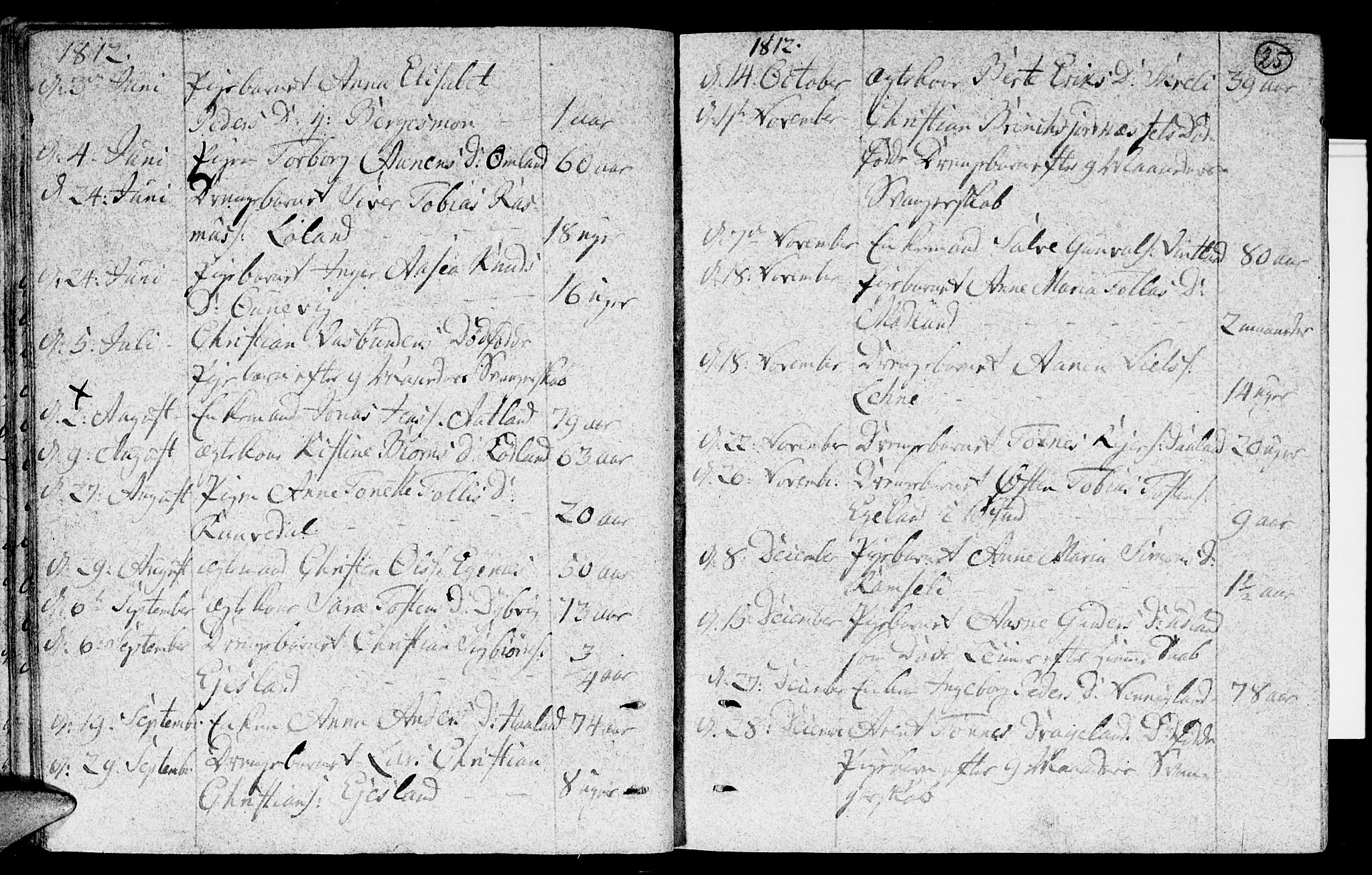 Lyngdal sokneprestkontor, AV/SAK-1111-0029/F/Fa/Fac/L0005: Parish register (official) no. A 5, 1804-1815, p. 25