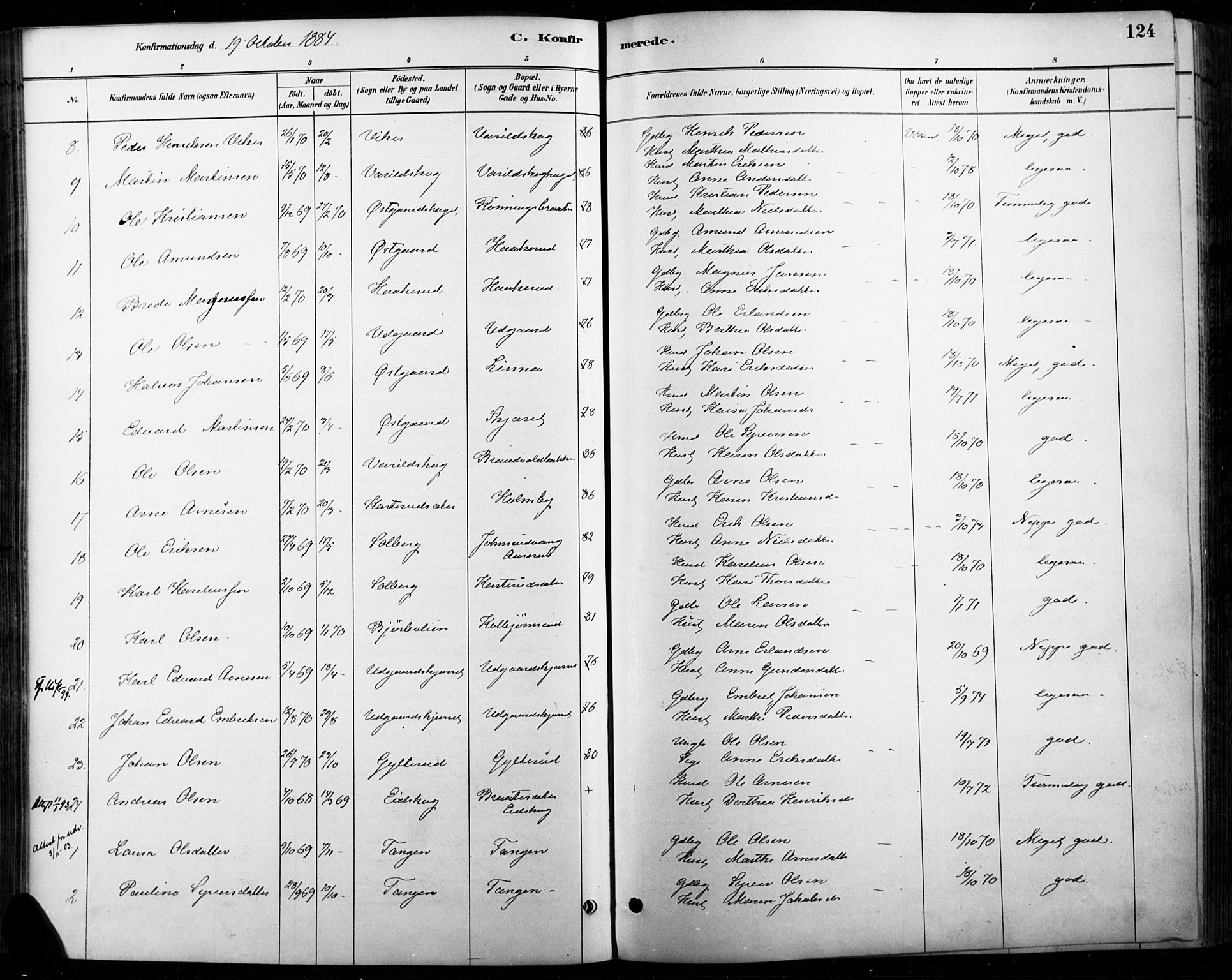 Vinger prestekontor, AV/SAH-PREST-024/H/Ha/Haa/L0015: Parish register (official) no. 15, 1881-1900, p. 124