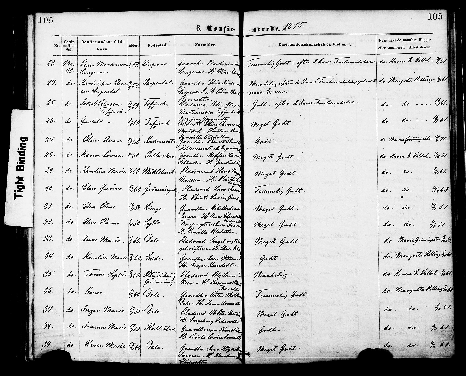 Ministerialprotokoller, klokkerbøker og fødselsregistre - Møre og Romsdal, AV/SAT-A-1454/519/L0254: Parish register (official) no. 519A13, 1868-1883, p. 105