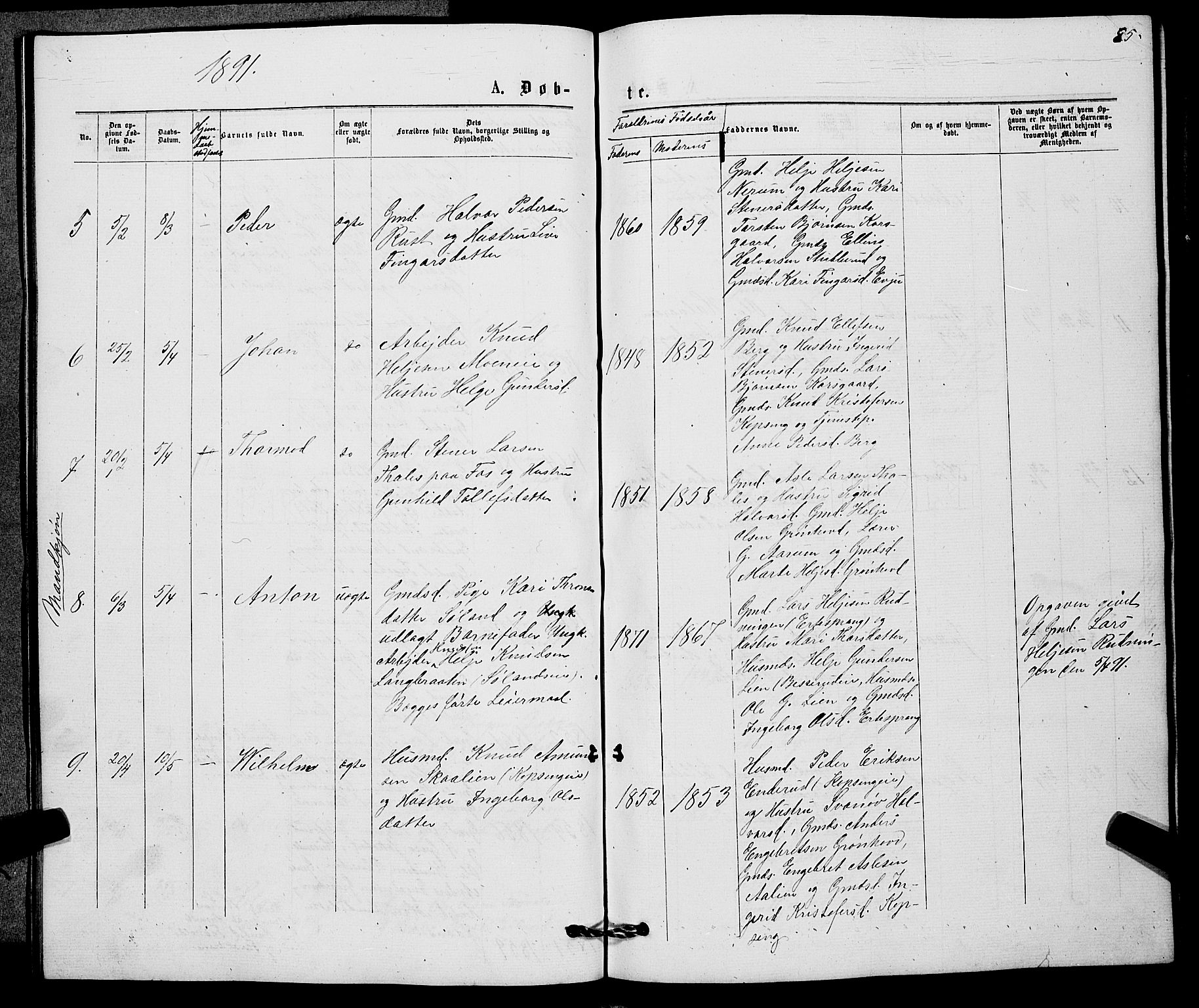 Sigdal kirkebøker, AV/SAKO-A-245/G/Gb/L0002: Parish register (copy) no. II 2, 1875-1900, p. 85