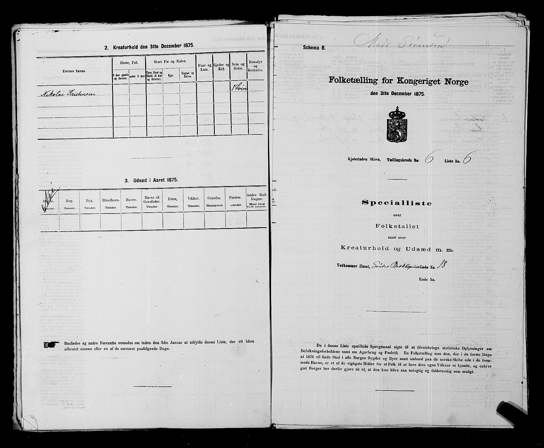 SAKO, 1875 census for 0806P Skien, 1875, p. 975