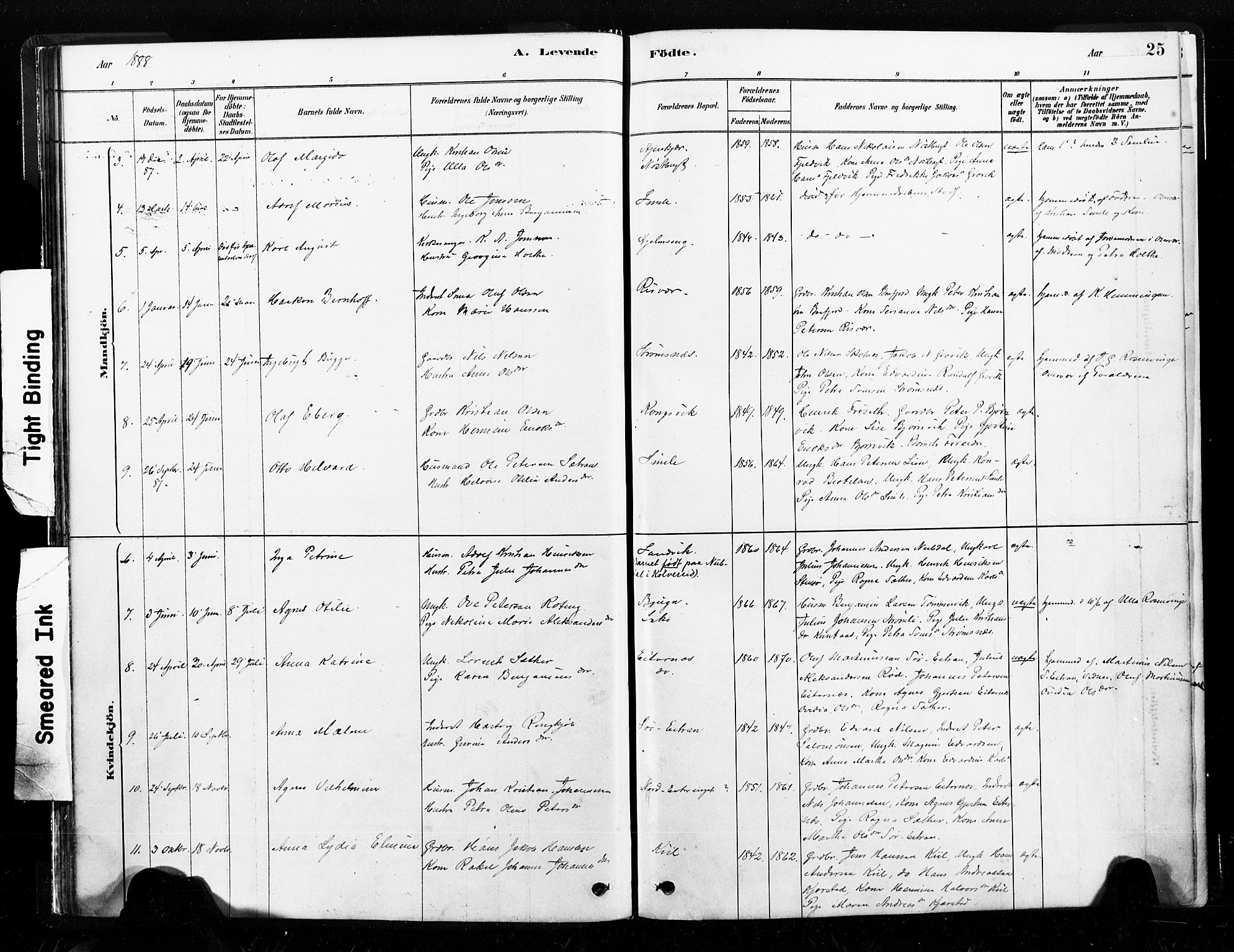 Ministerialprotokoller, klokkerbøker og fødselsregistre - Nord-Trøndelag, AV/SAT-A-1458/789/L0705: Parish register (official) no. 789A01, 1878-1910, p. 25