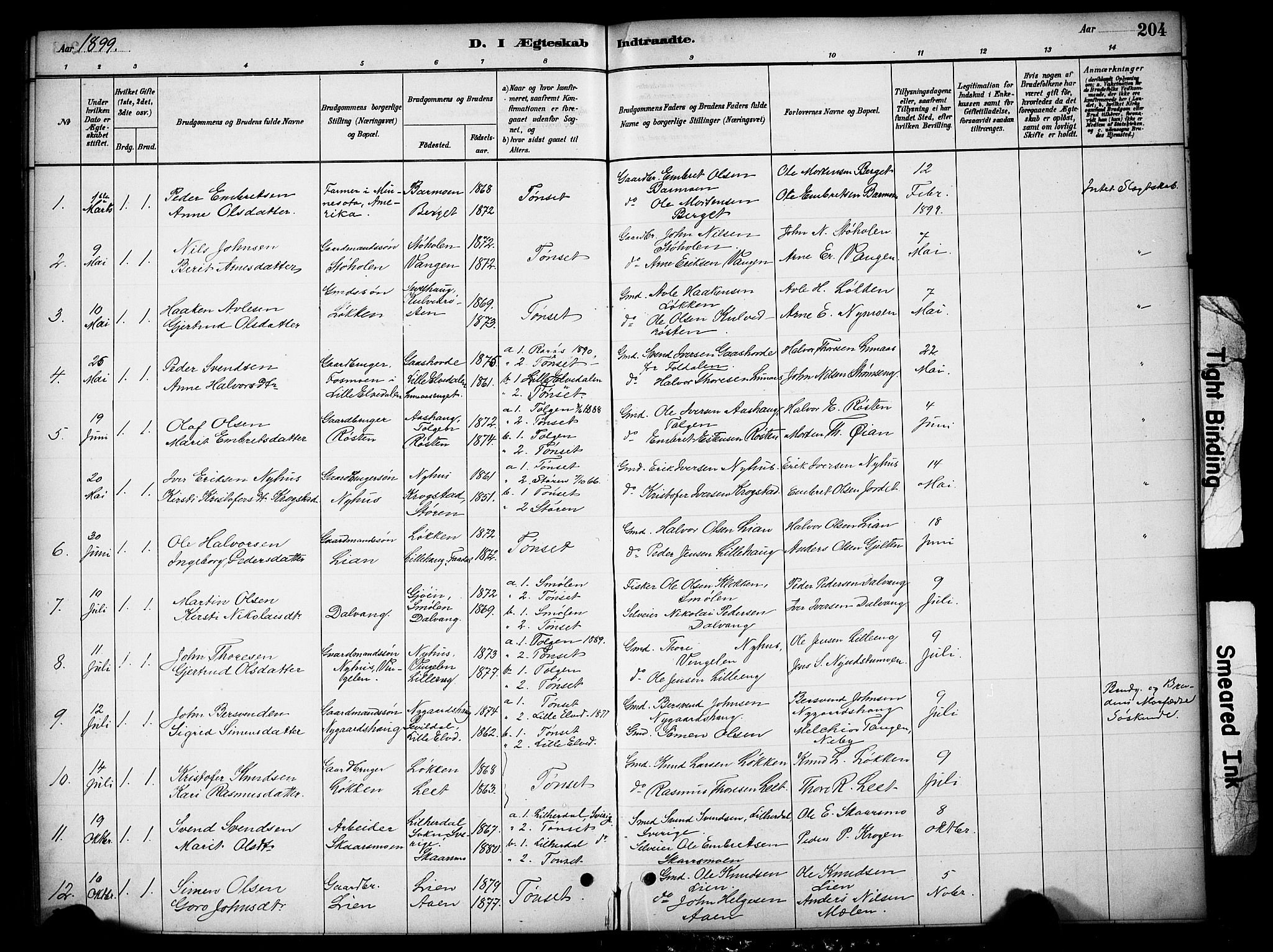 Tynset prestekontor, SAH/PREST-058/H/Ha/Hab/L0006: Parish register (copy) no. 6, 1880-1899, p. 204