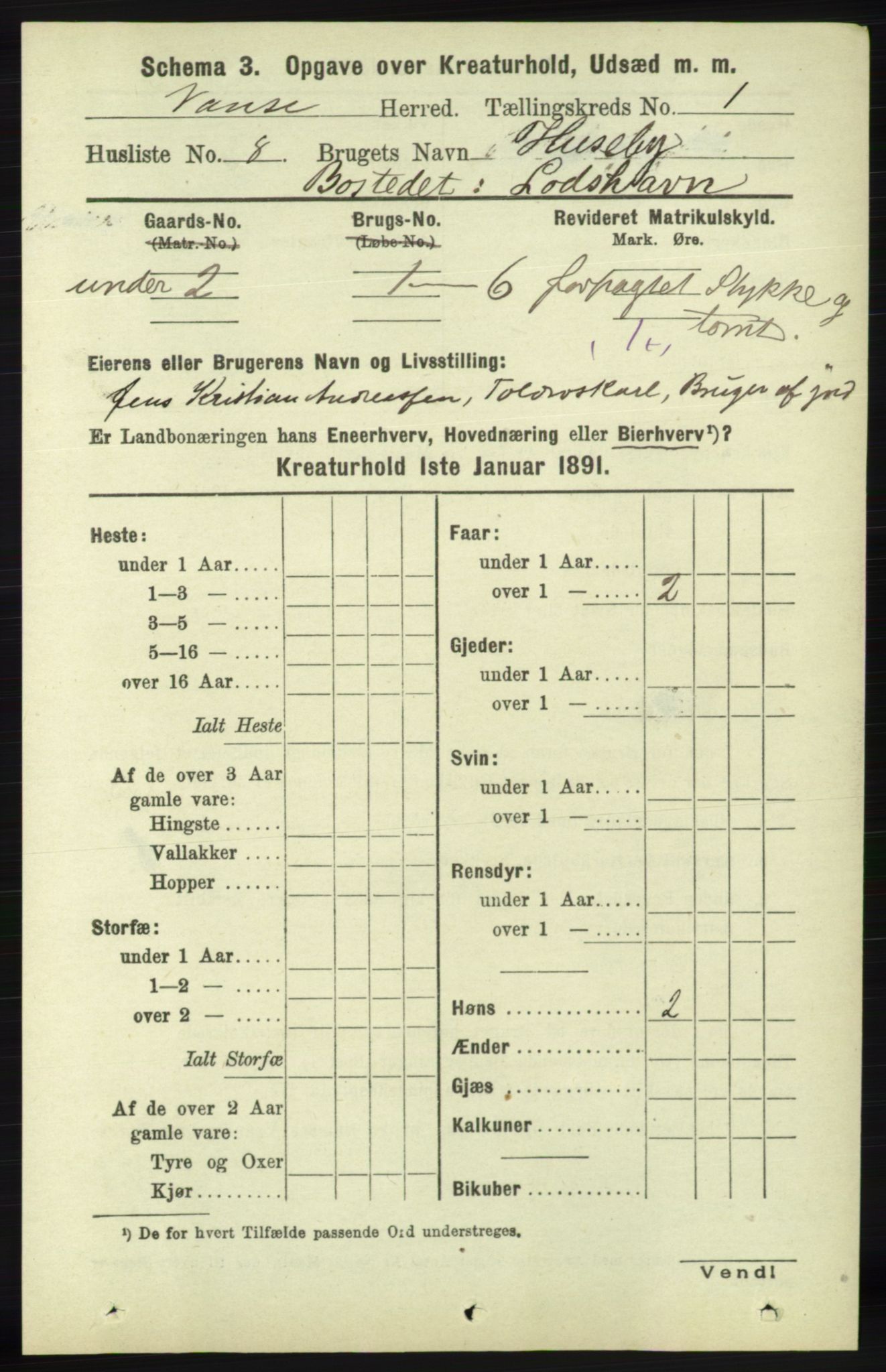 RA, 1891 census for 1041 Vanse, 1891, p. 7818