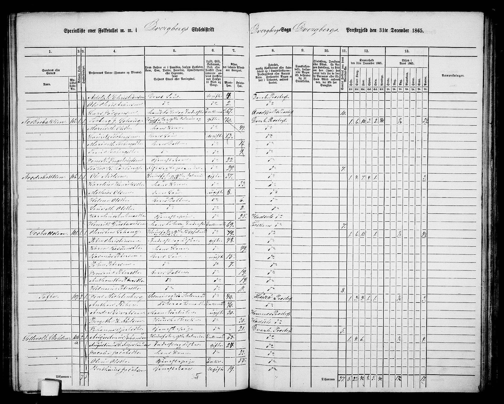 RA, 1865 census for Dverberg, 1865, p. 7