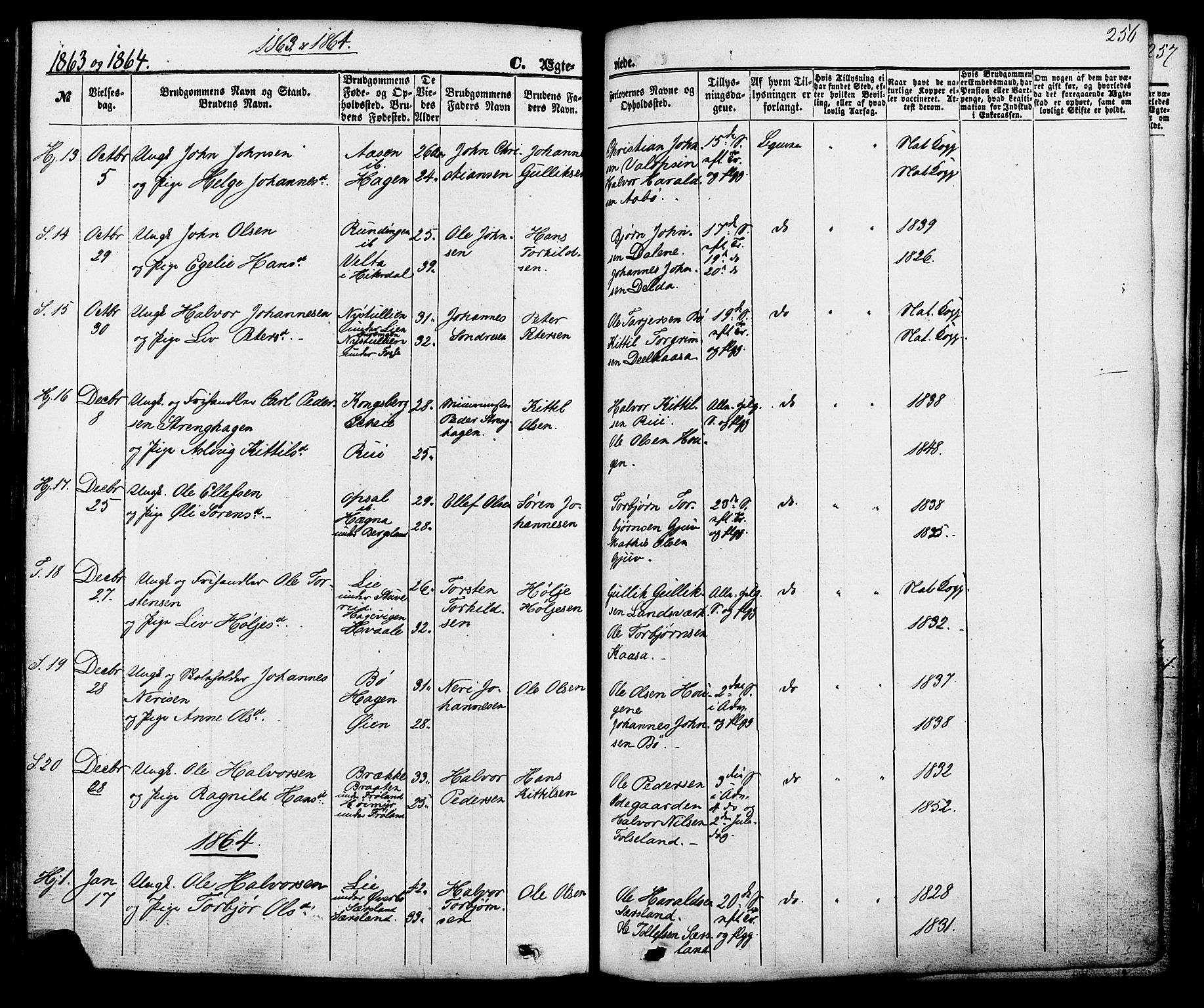 Hjartdal kirkebøker, SAKO/A-270/F/Fa/L0009: Parish register (official) no. I 9, 1860-1879, p. 256