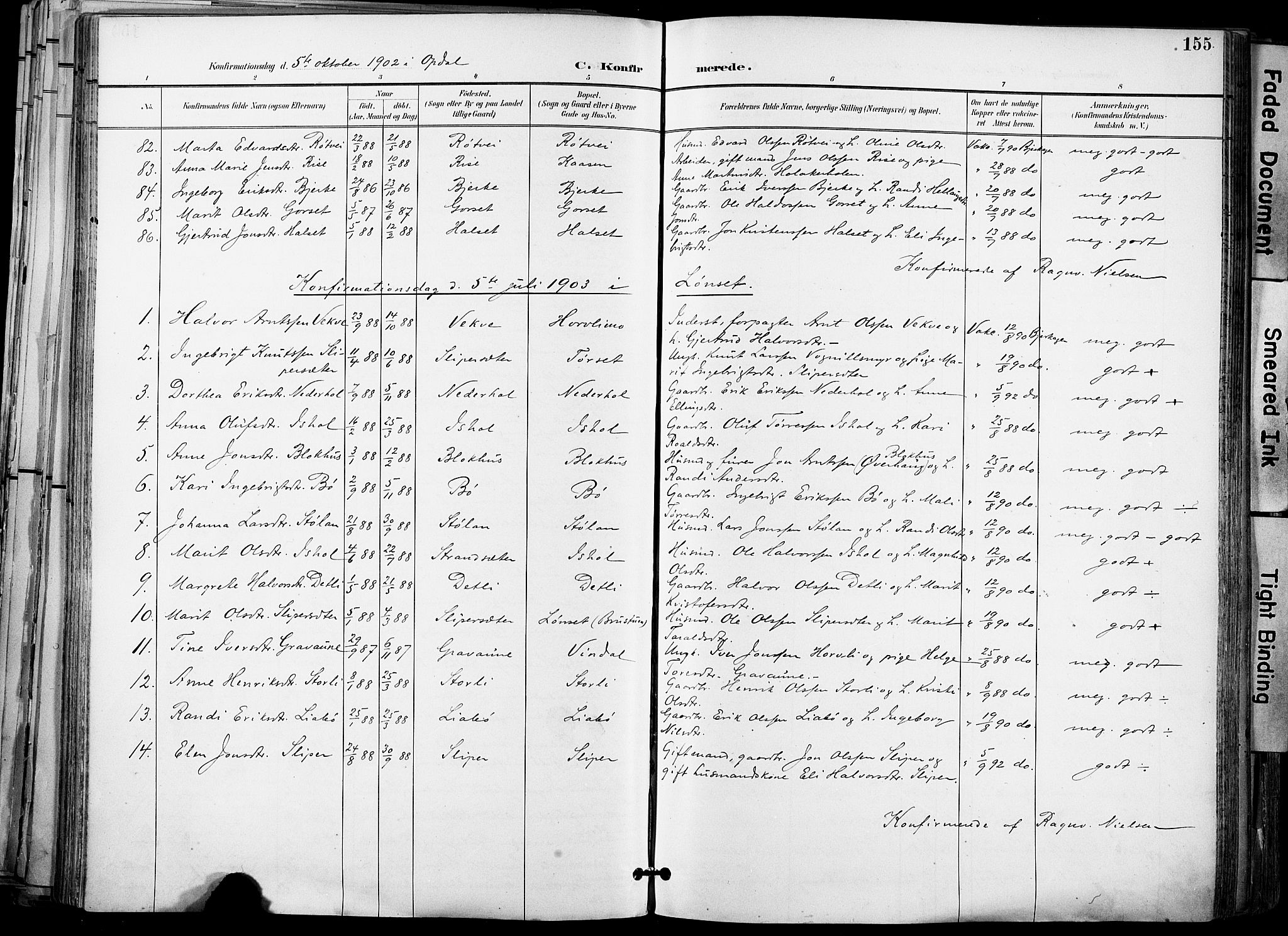 Ministerialprotokoller, klokkerbøker og fødselsregistre - Sør-Trøndelag, AV/SAT-A-1456/678/L0902: Parish register (official) no. 678A11, 1895-1911, p. 155